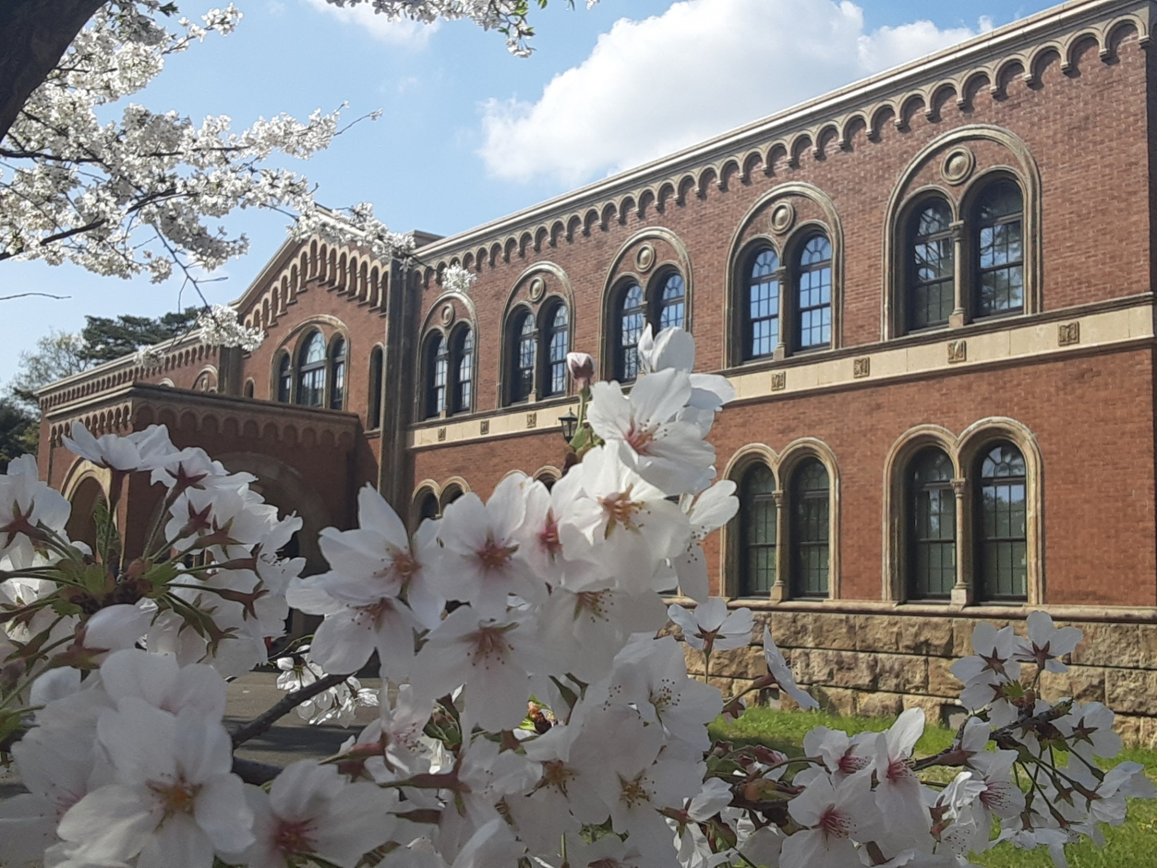 名古屋学芸大学