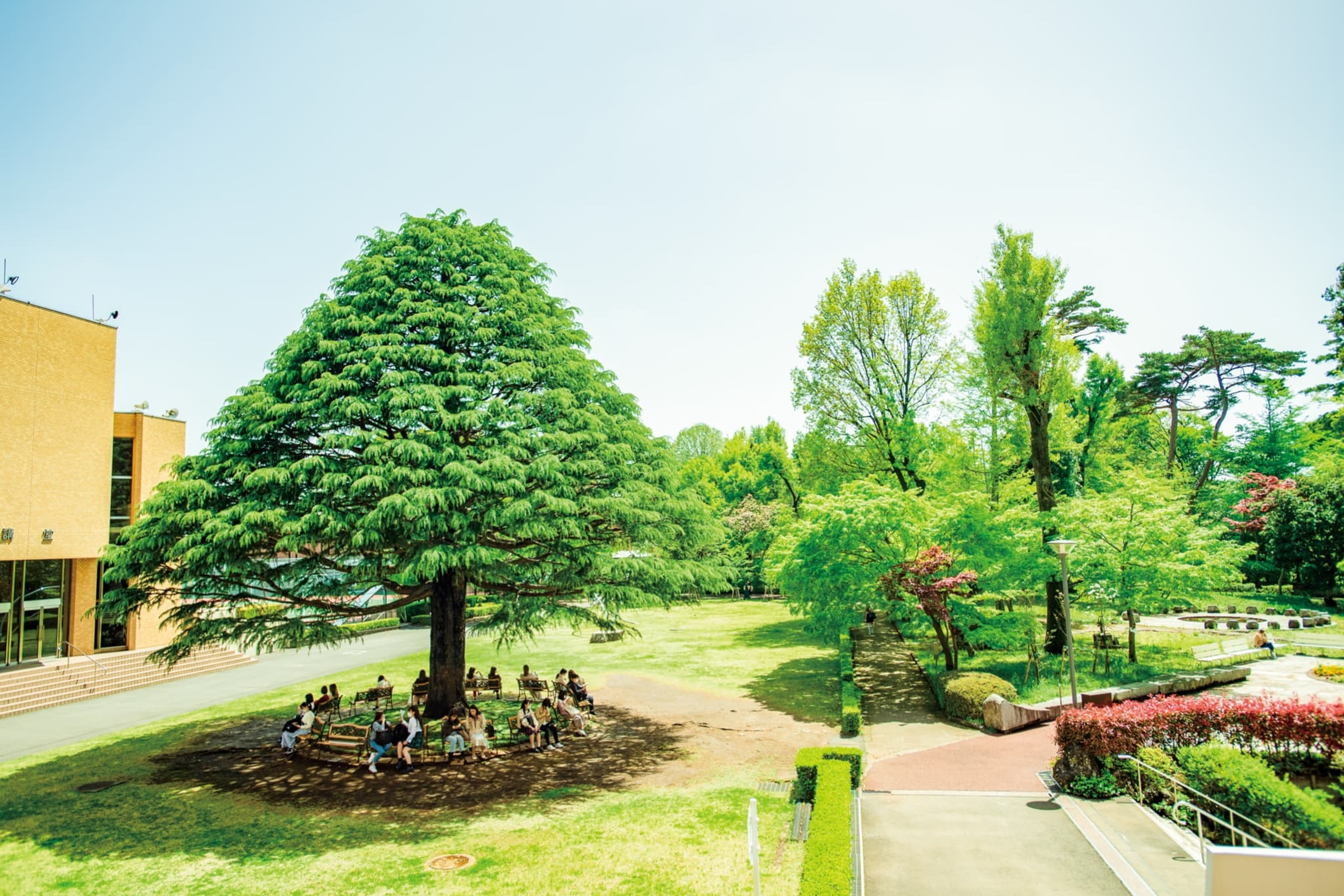 白百合女子大学 白百合女子大学