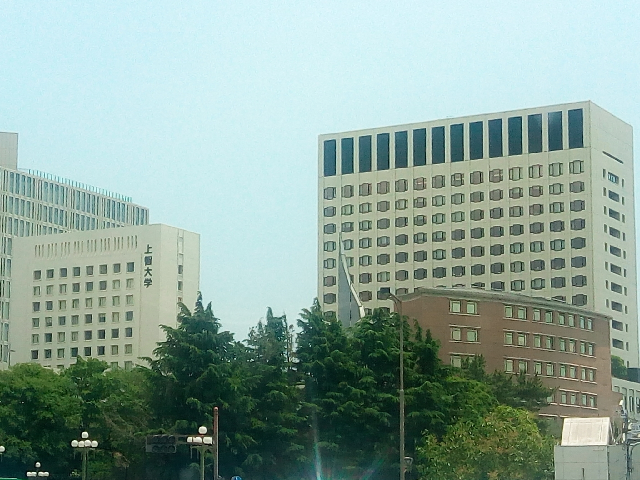 武蔵大学の入試詳細情報一覧｜総合型選抜・推薦入試対応｜年内入試ナビ