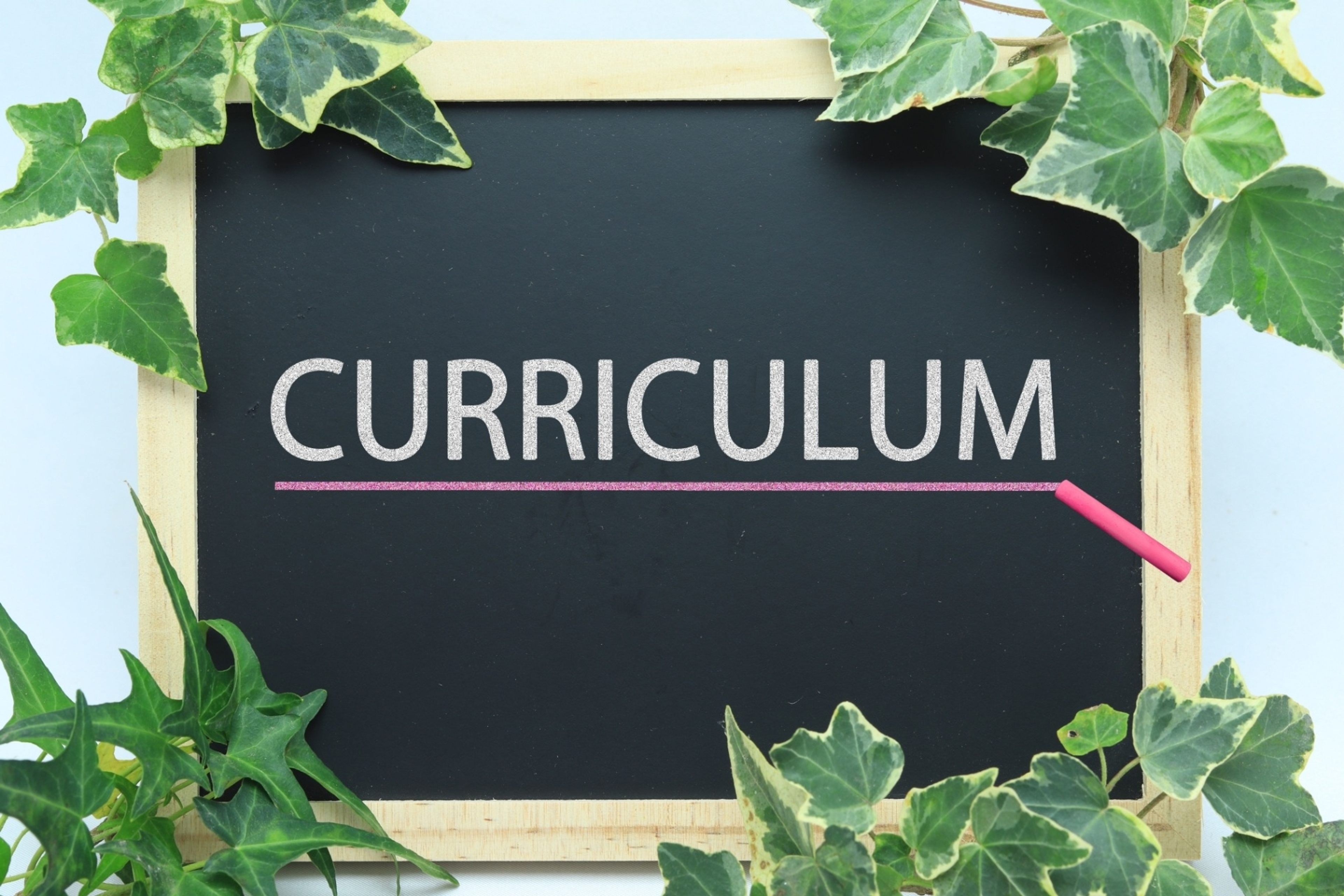 学びの特徴 学びの特徴