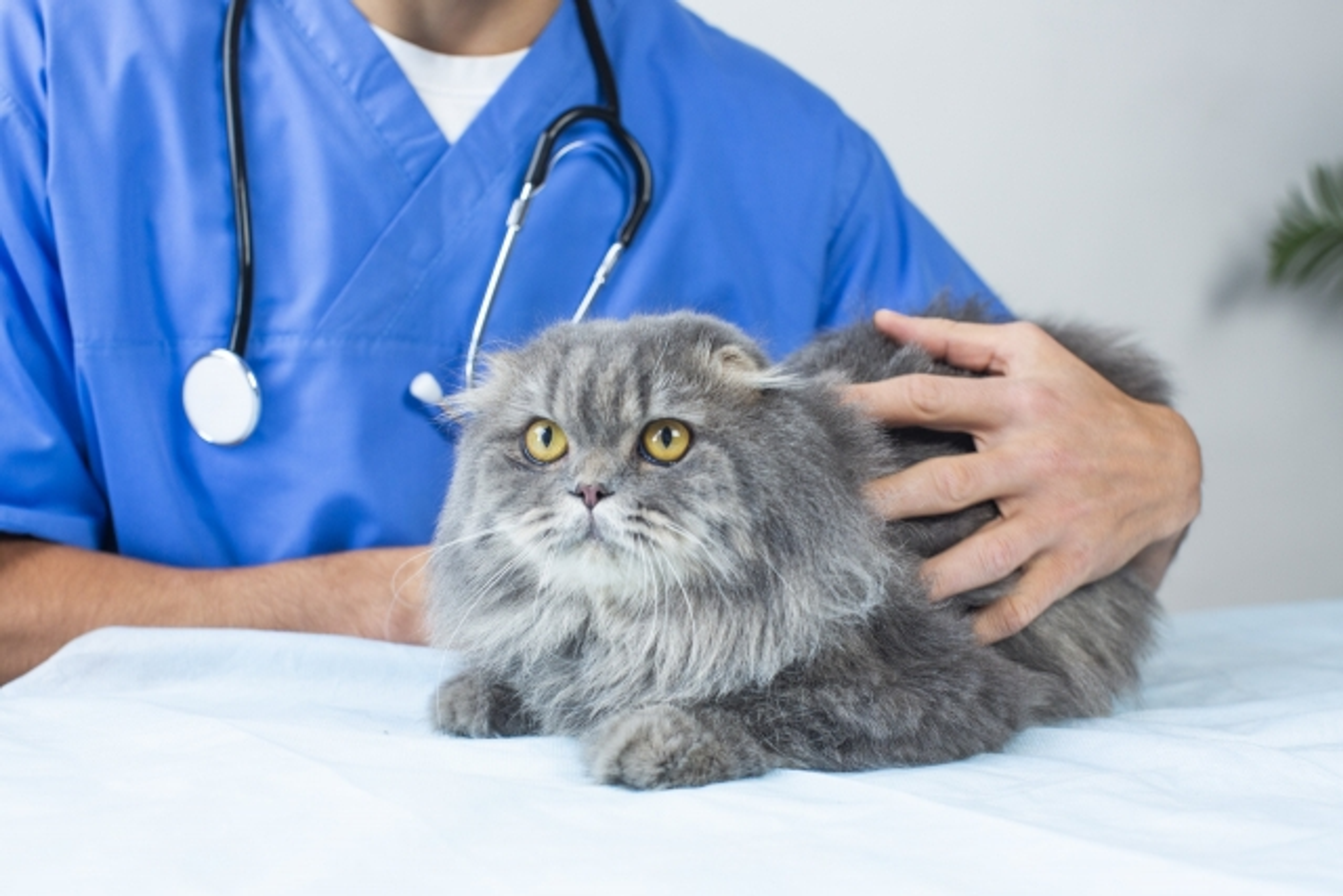 健土健民入門実習・健土健民獣医学入門実習 健土健民入門実習・健土健民獣医学入門実習