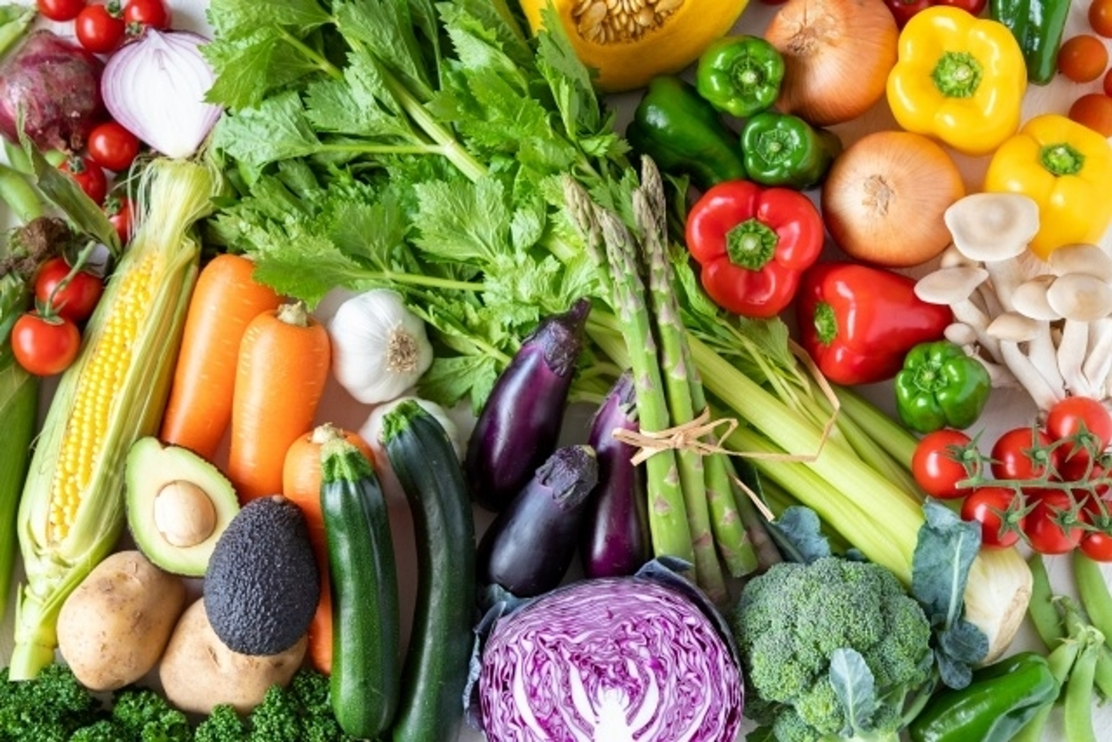 可能性無限大の「食」 可能性無限大の「食」