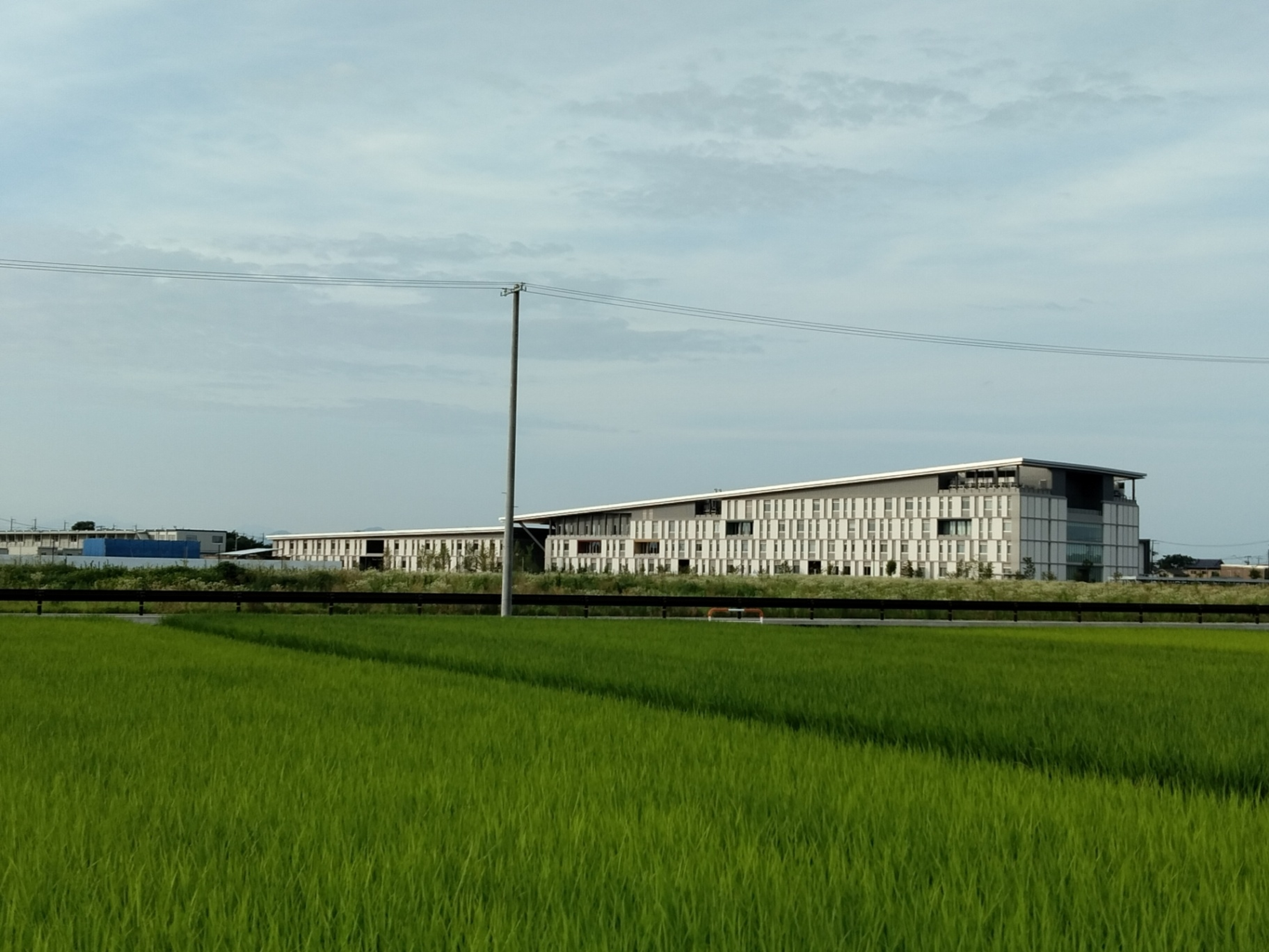 概要 概要