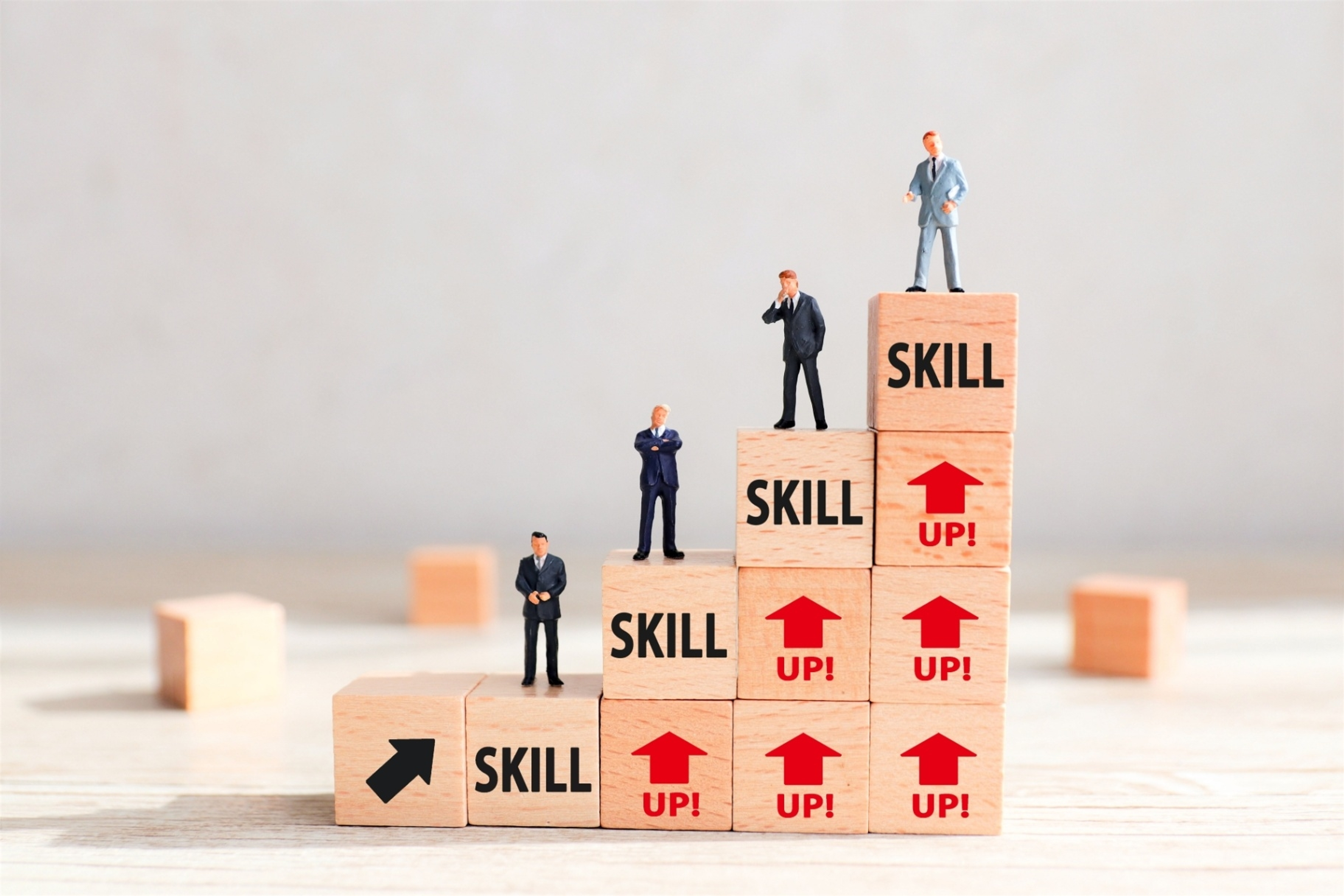 実践的な専門課程と応用課程の二段階教育