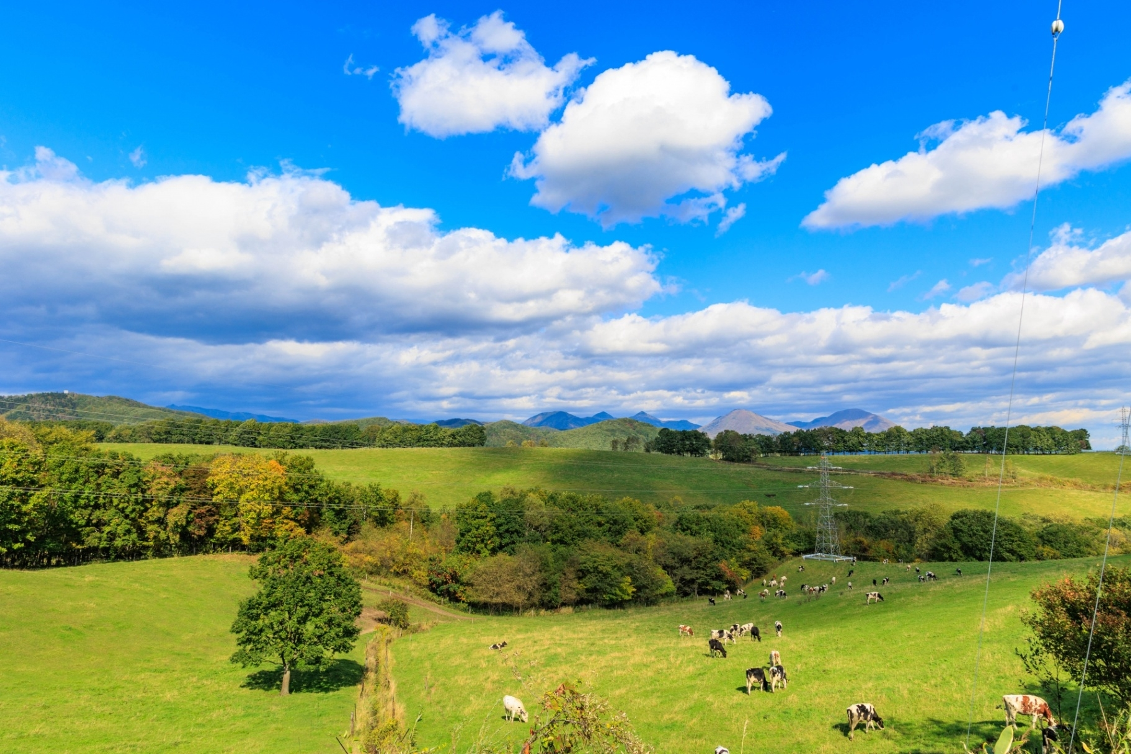 学びの特徴 学びの特徴