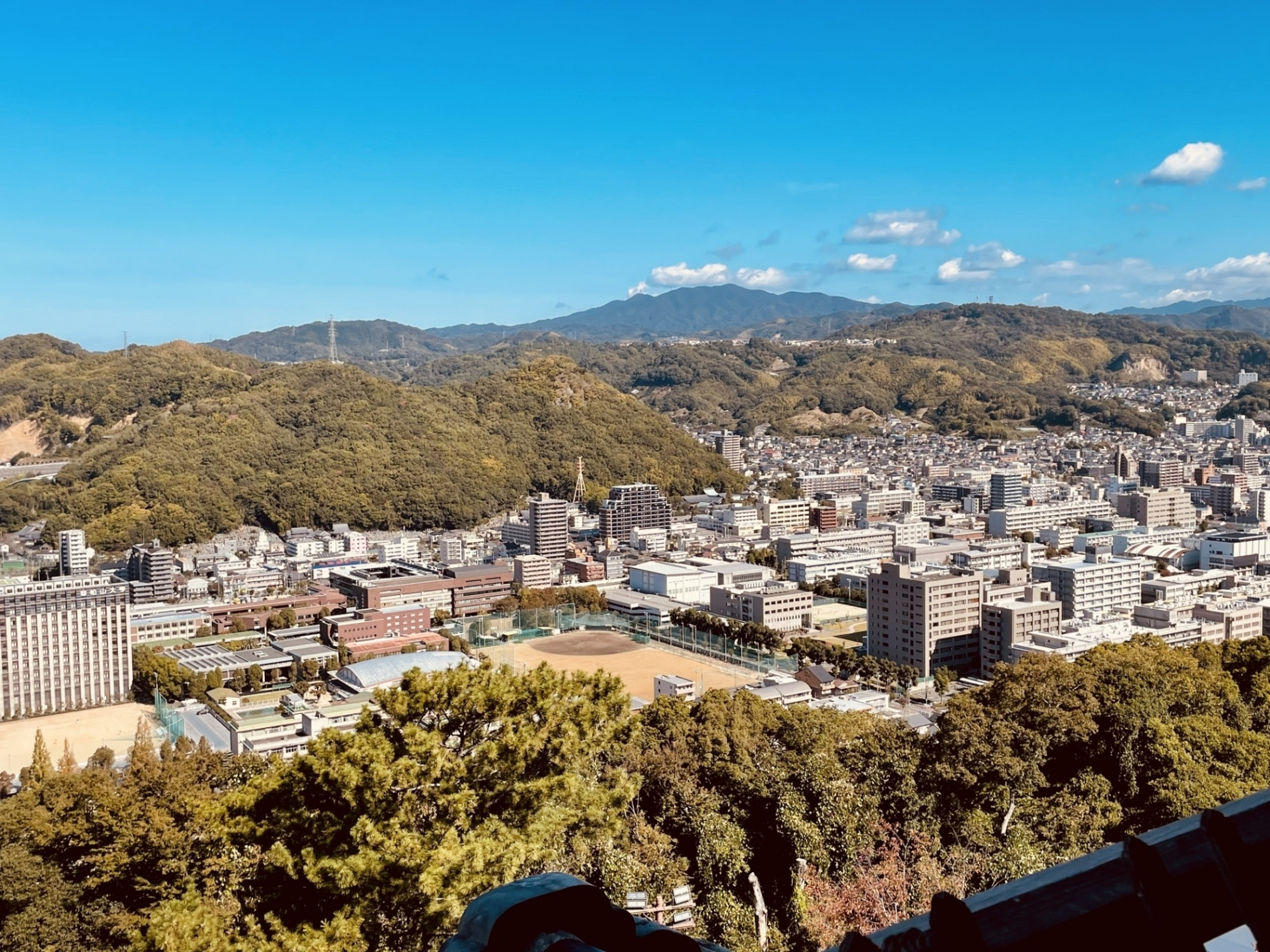 概要