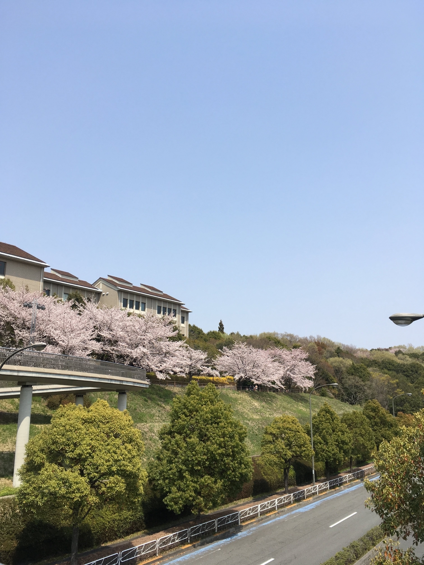 東京都立大学 | 資料請求・イベント・入試情報｜年内入試ナビ