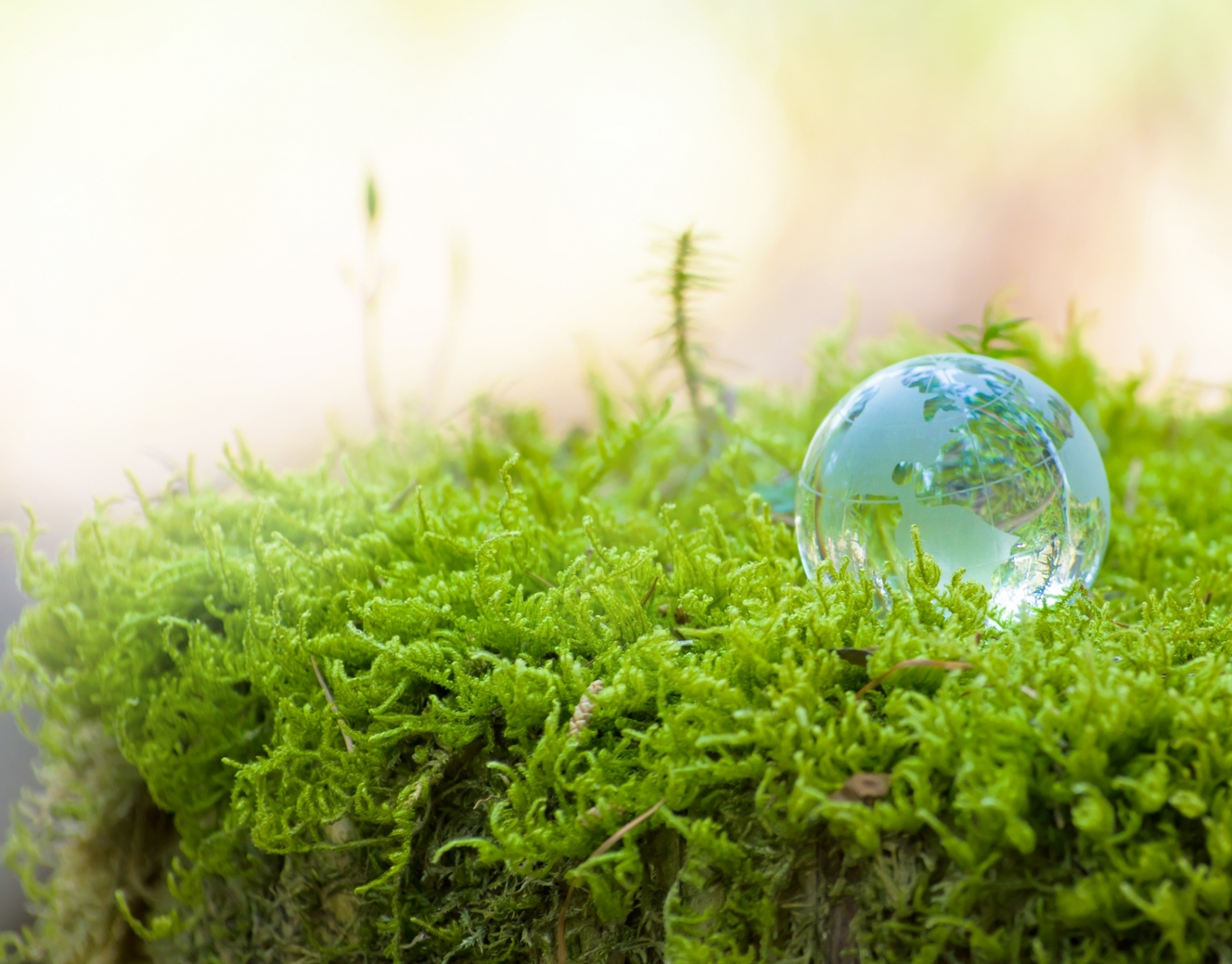 「水産業を担う人材を育成」する水産大学校 「水産業を担う人材を育成」する水産大学校