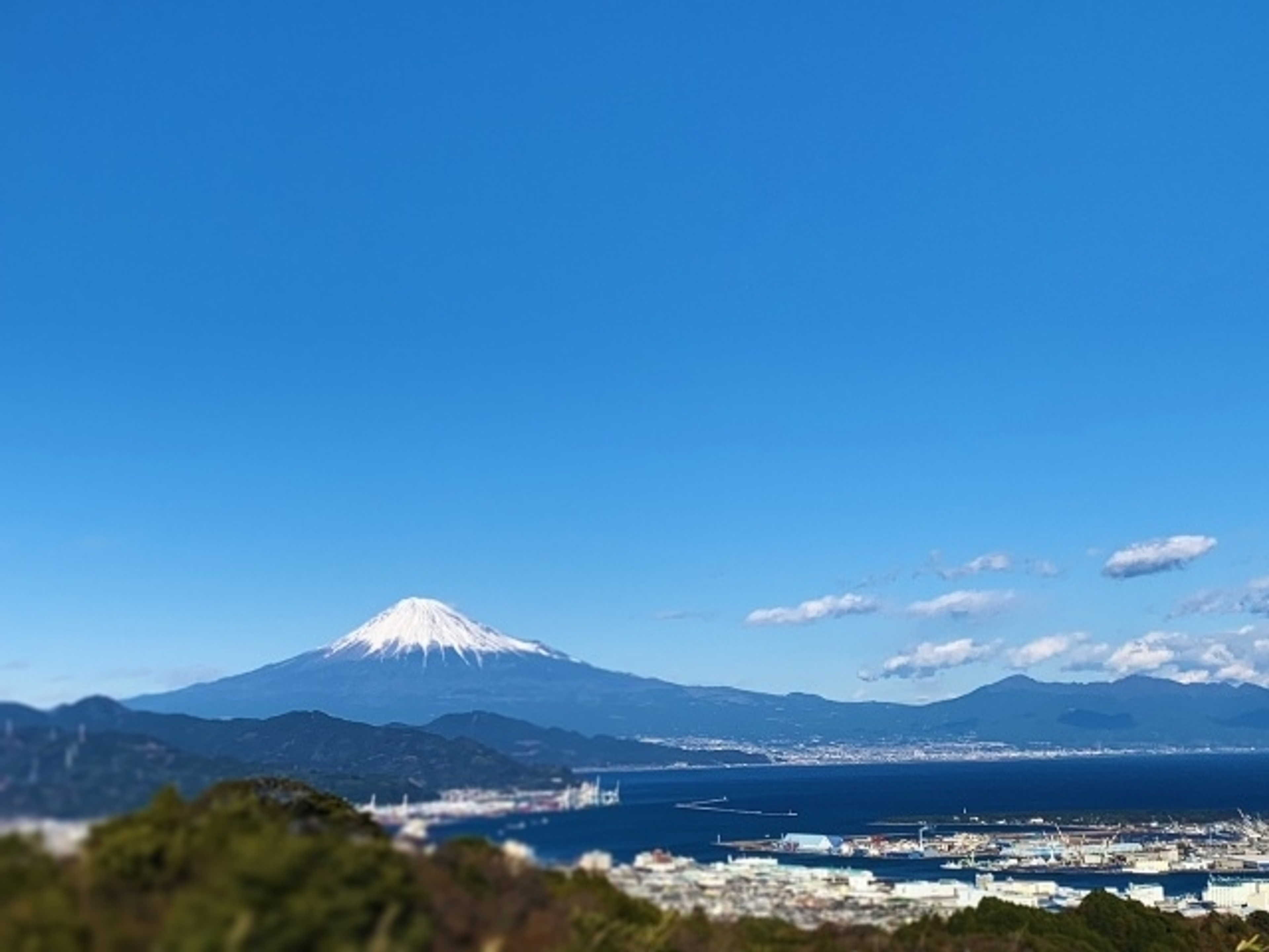 豊かな自然に囲まれた 美しいキャンパスが学びのステージ