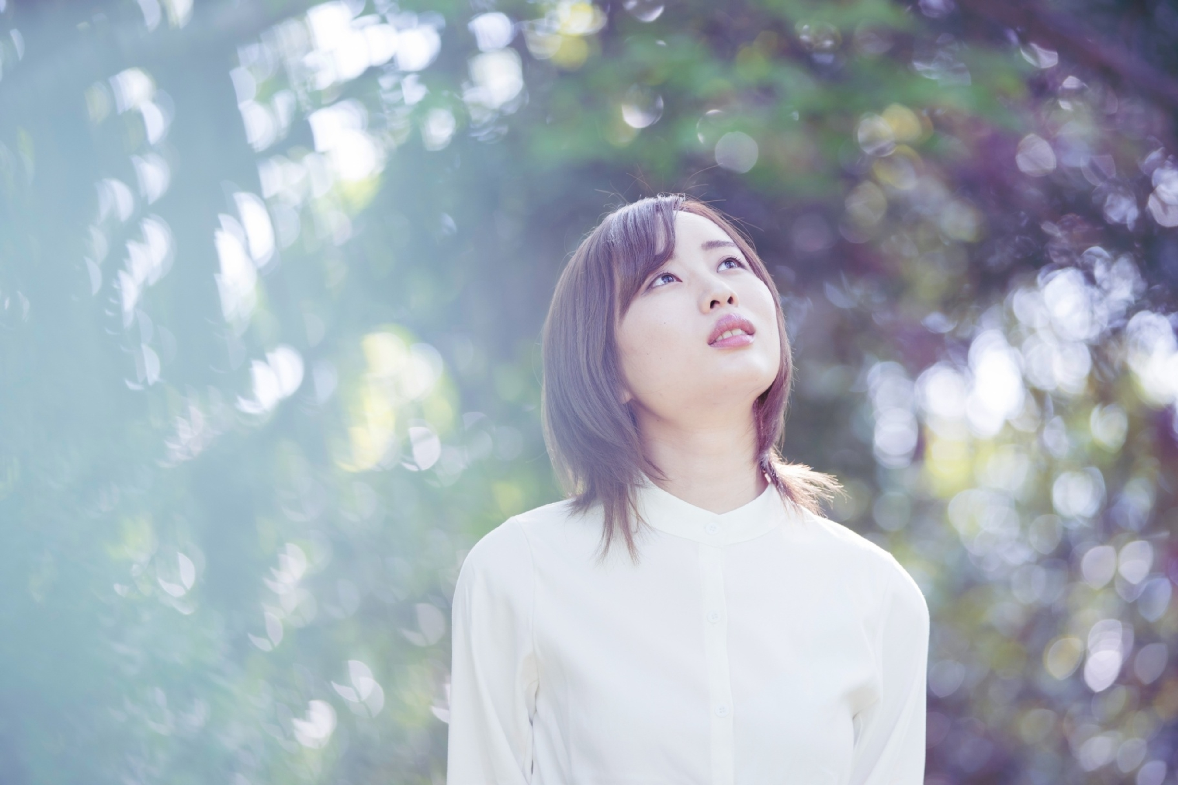 概要 概要