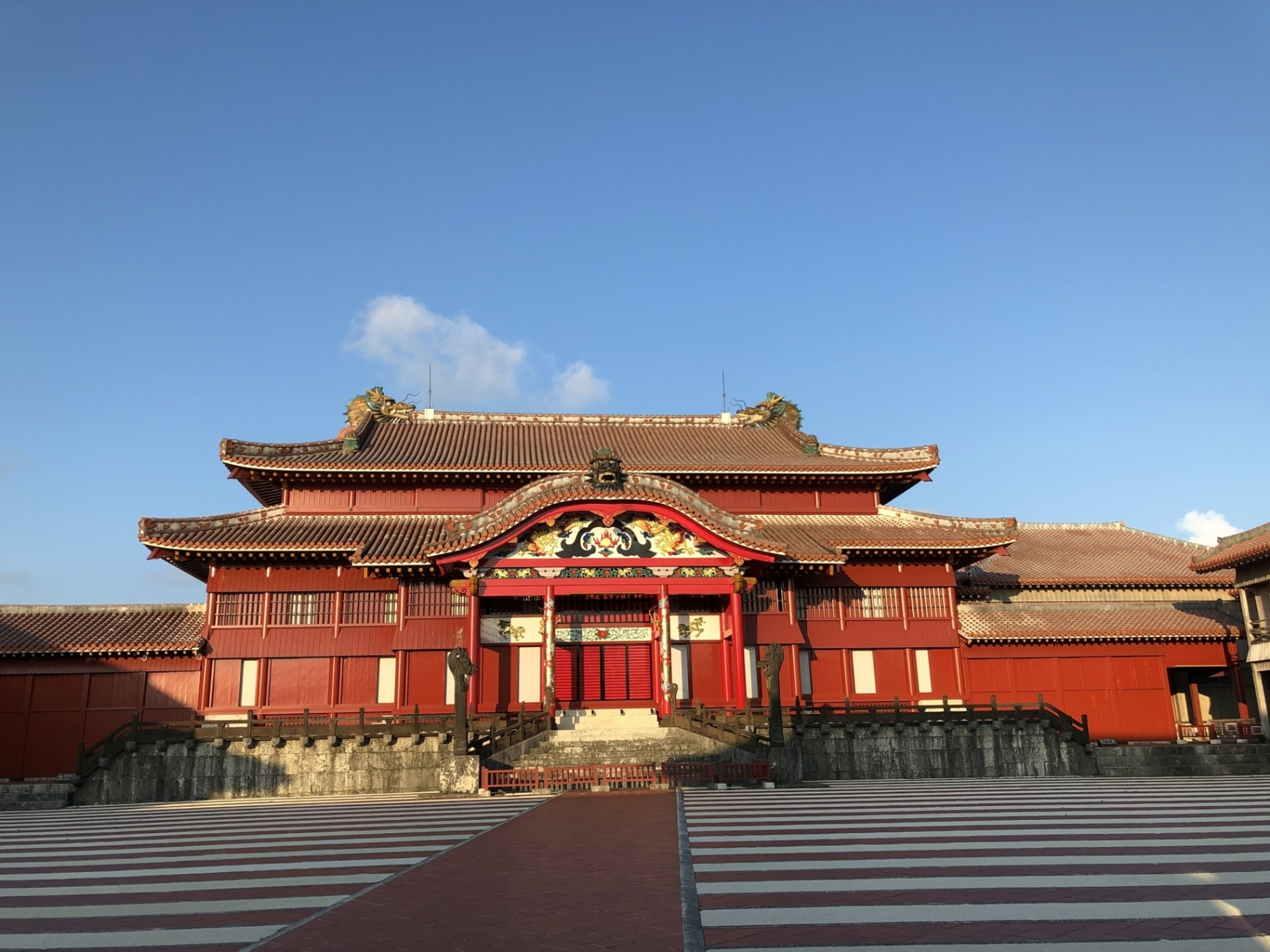 博物館学芸員の資格を取得可能