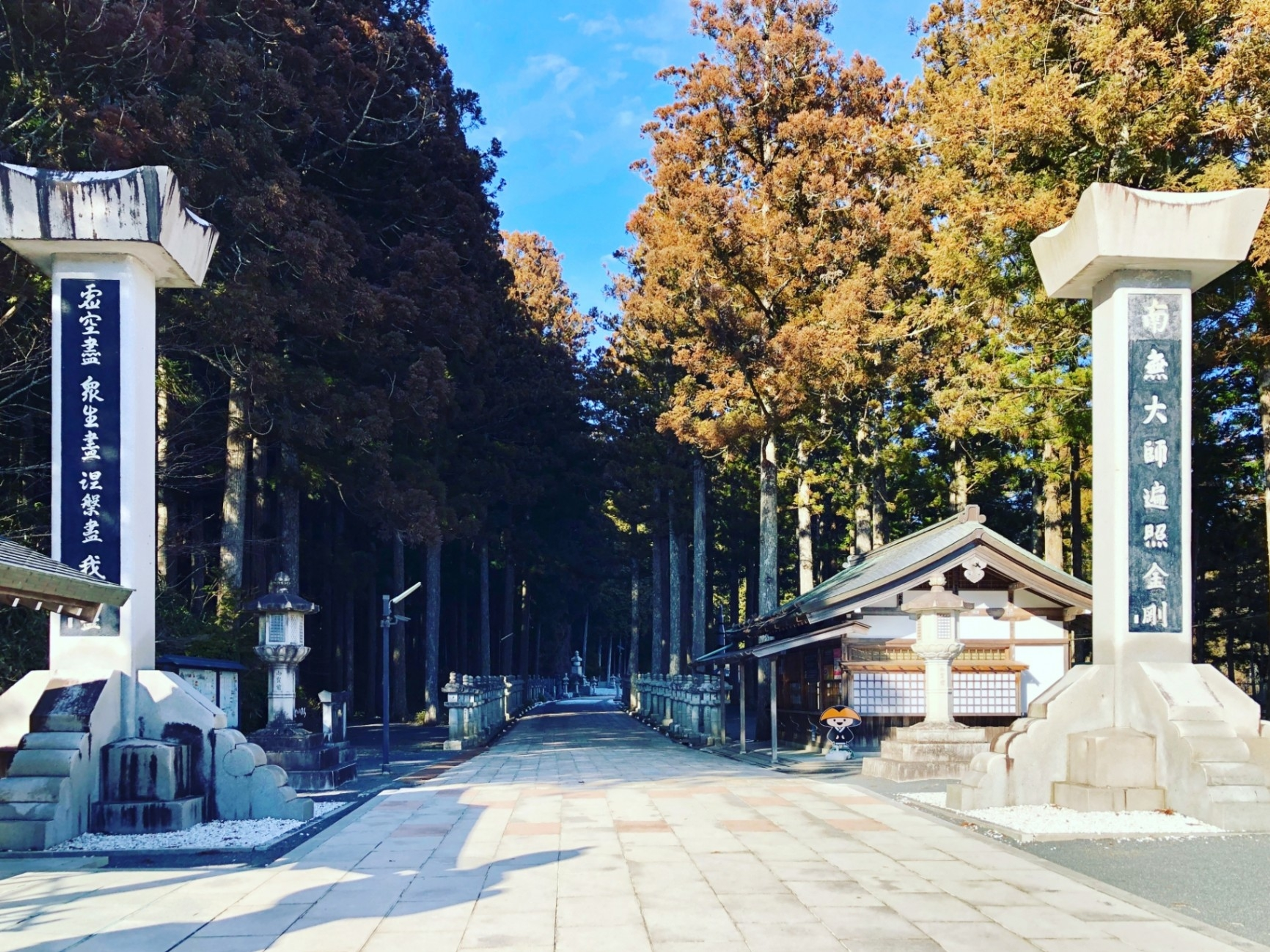 学びの特徴