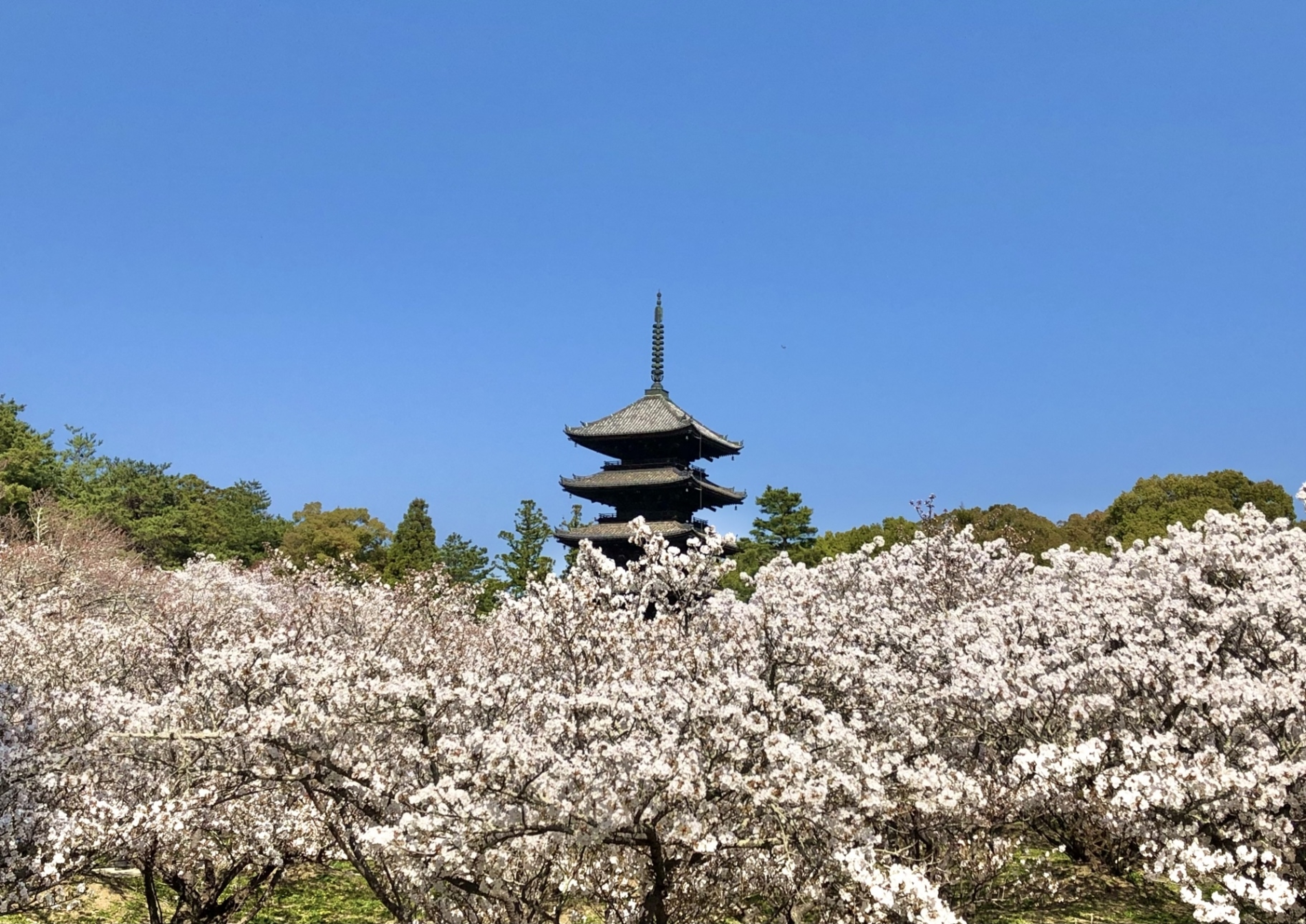 学びの特徴 学びの特徴