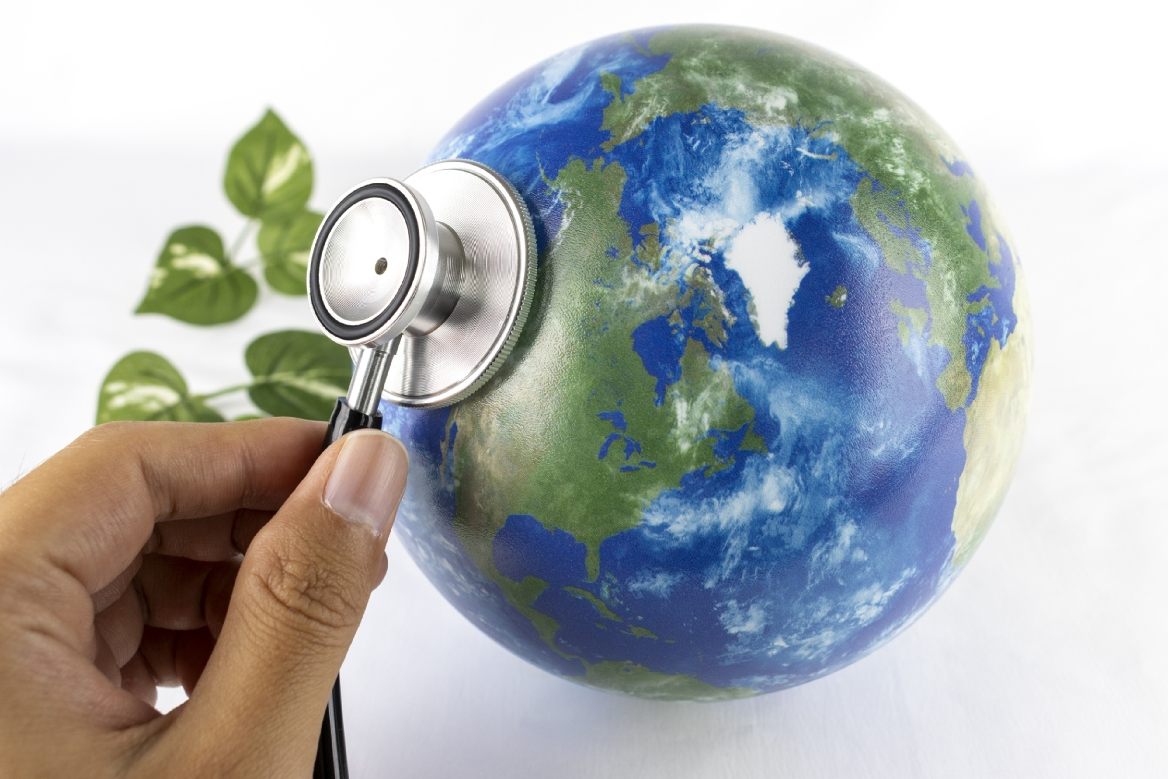 学びの特徴 学びの特徴