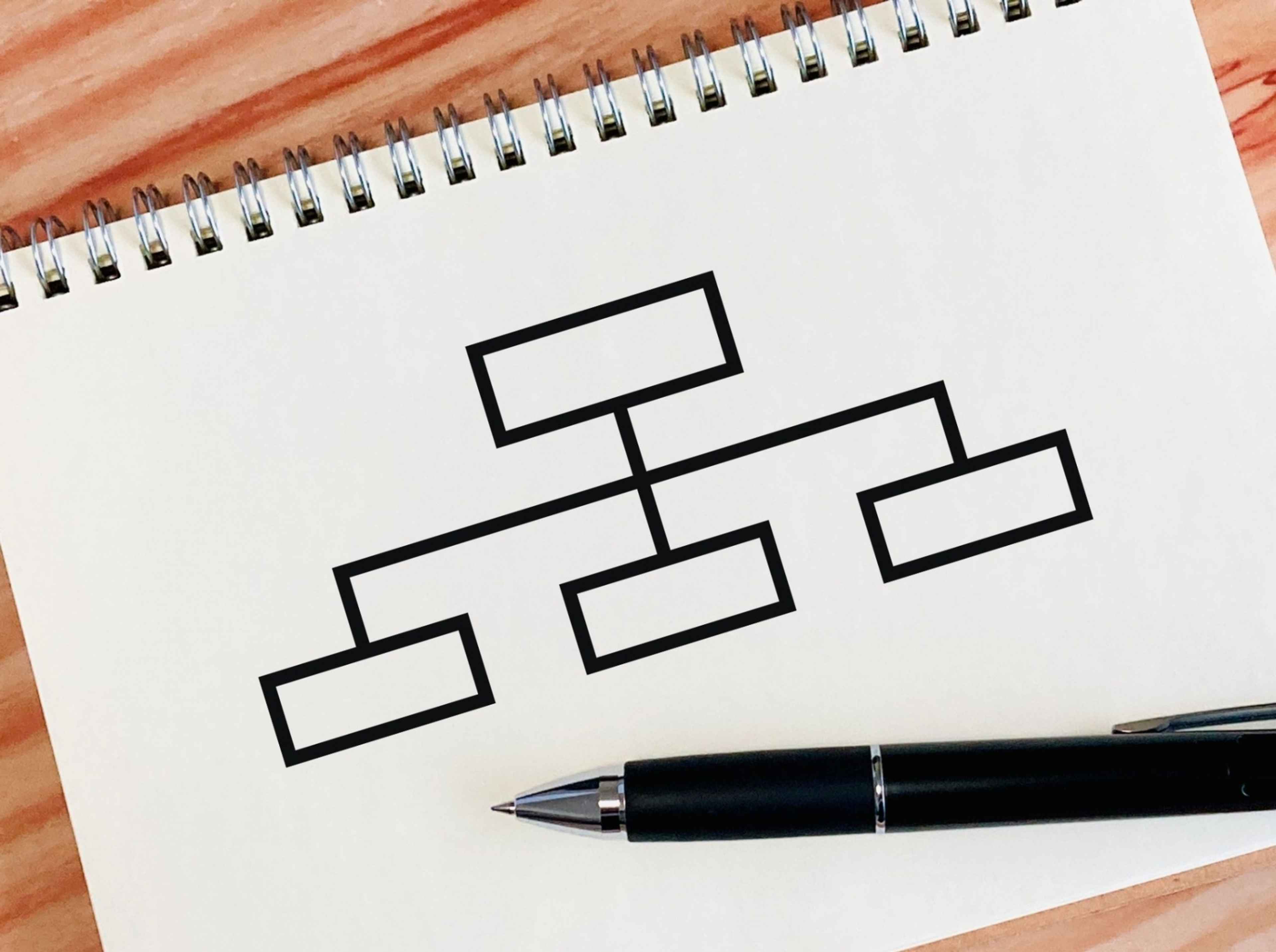 体系的な学びで、学びを社会につなげる 体系的な学びで、学びを社会につなげる
