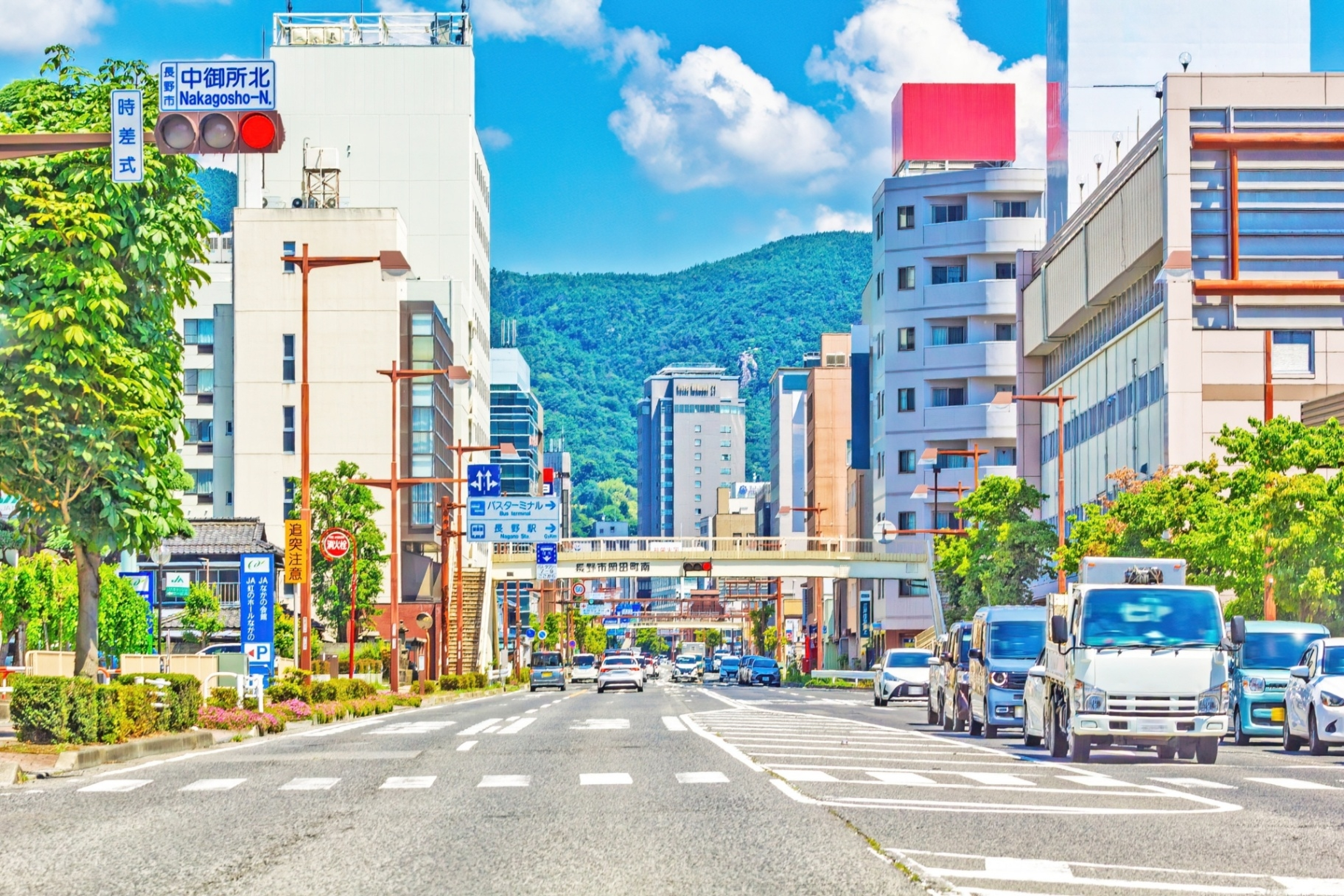 企業や地域の実際の活動に参加