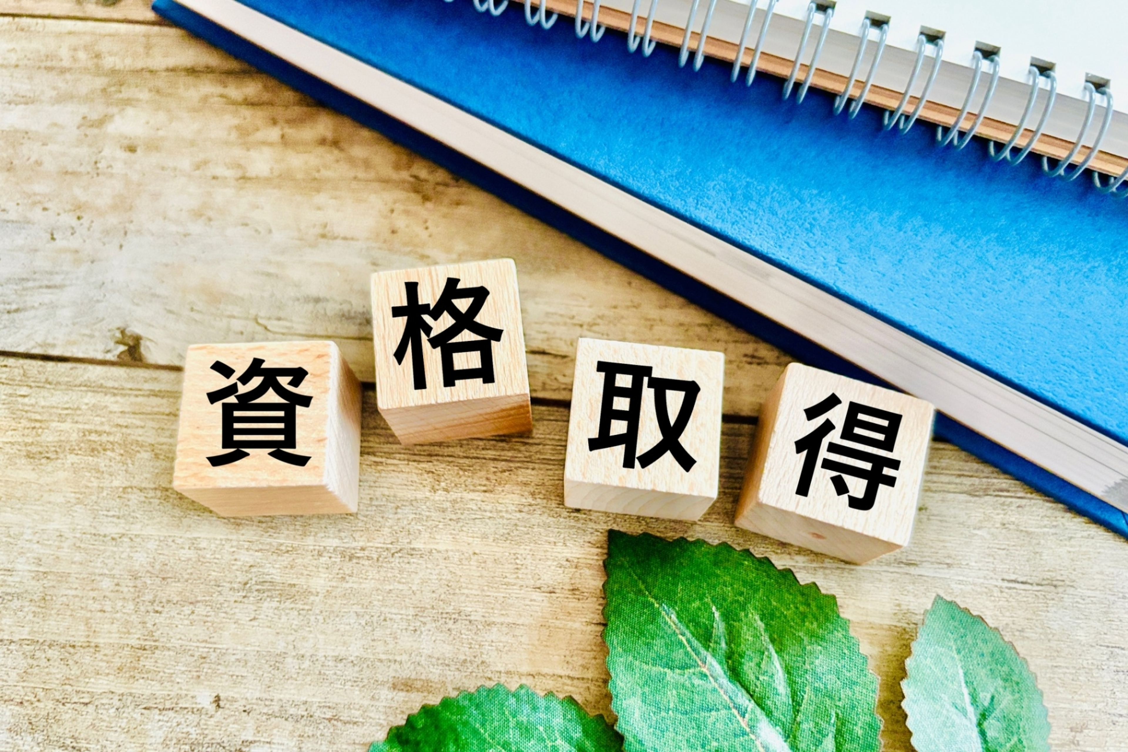 学びの特徴 学びの特徴
