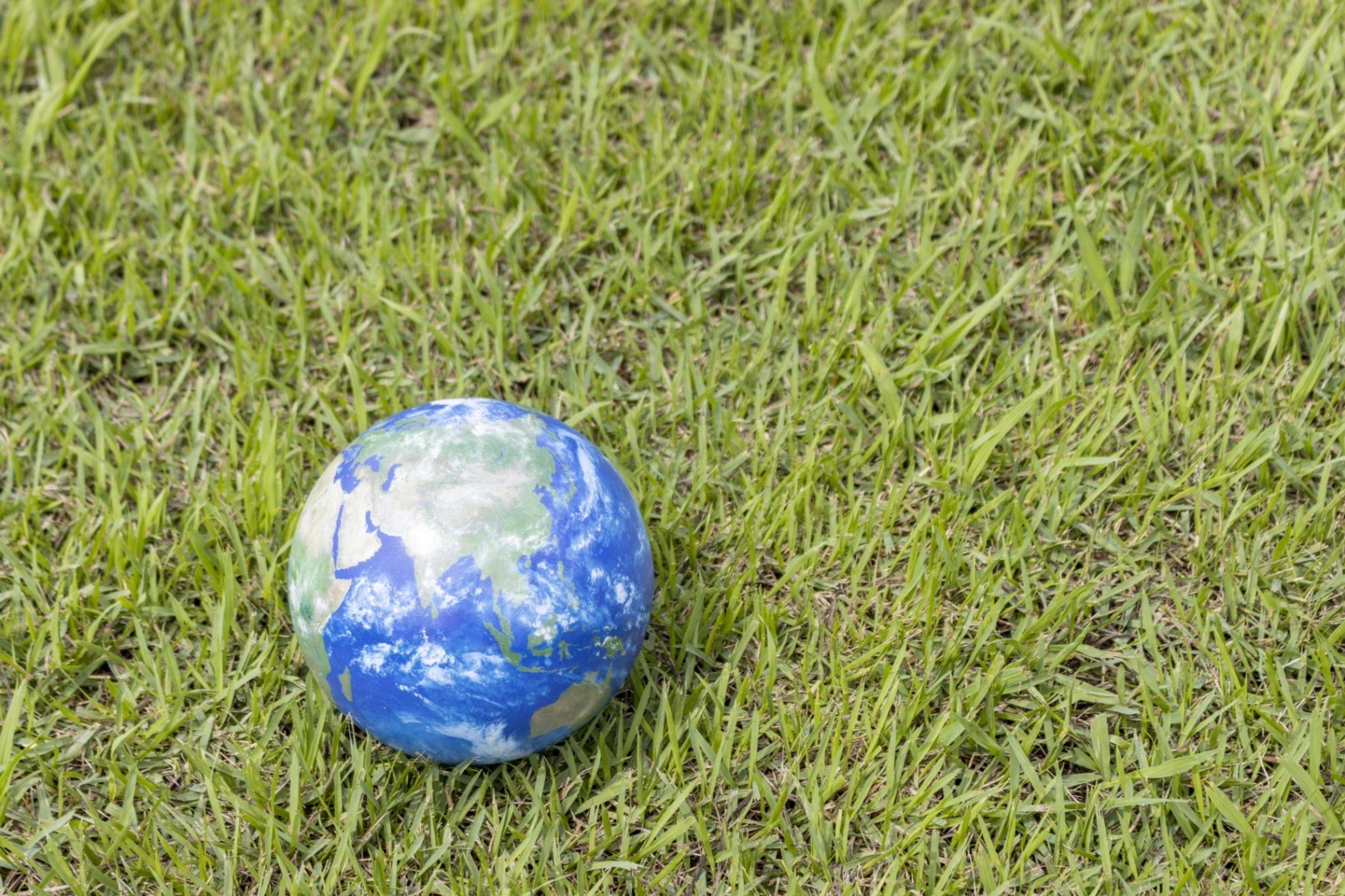 学びの特徴 学びの特徴