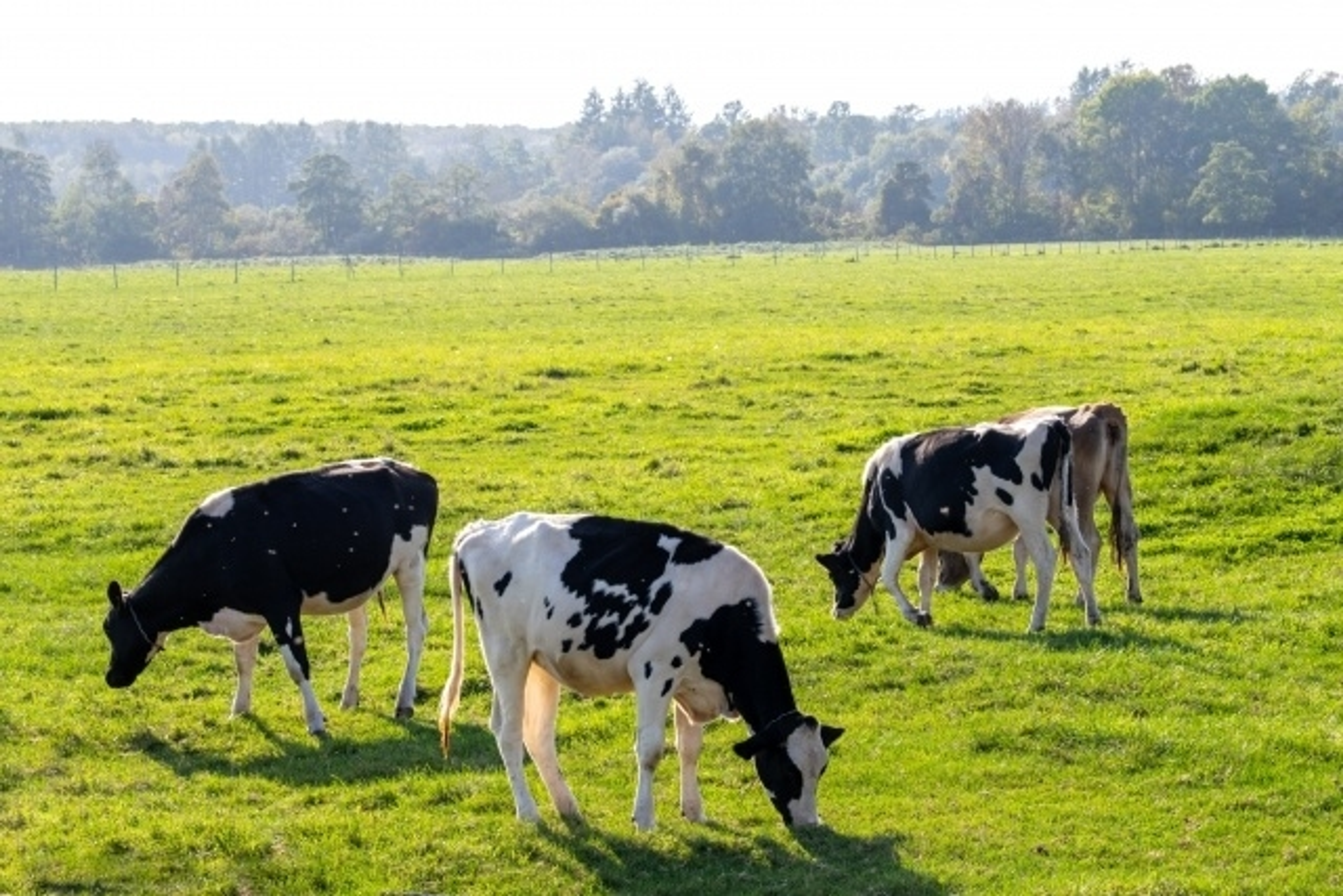 つながりの大切さを学び、生きる力を付ける つながりの大切さを学び、生きる力を付ける