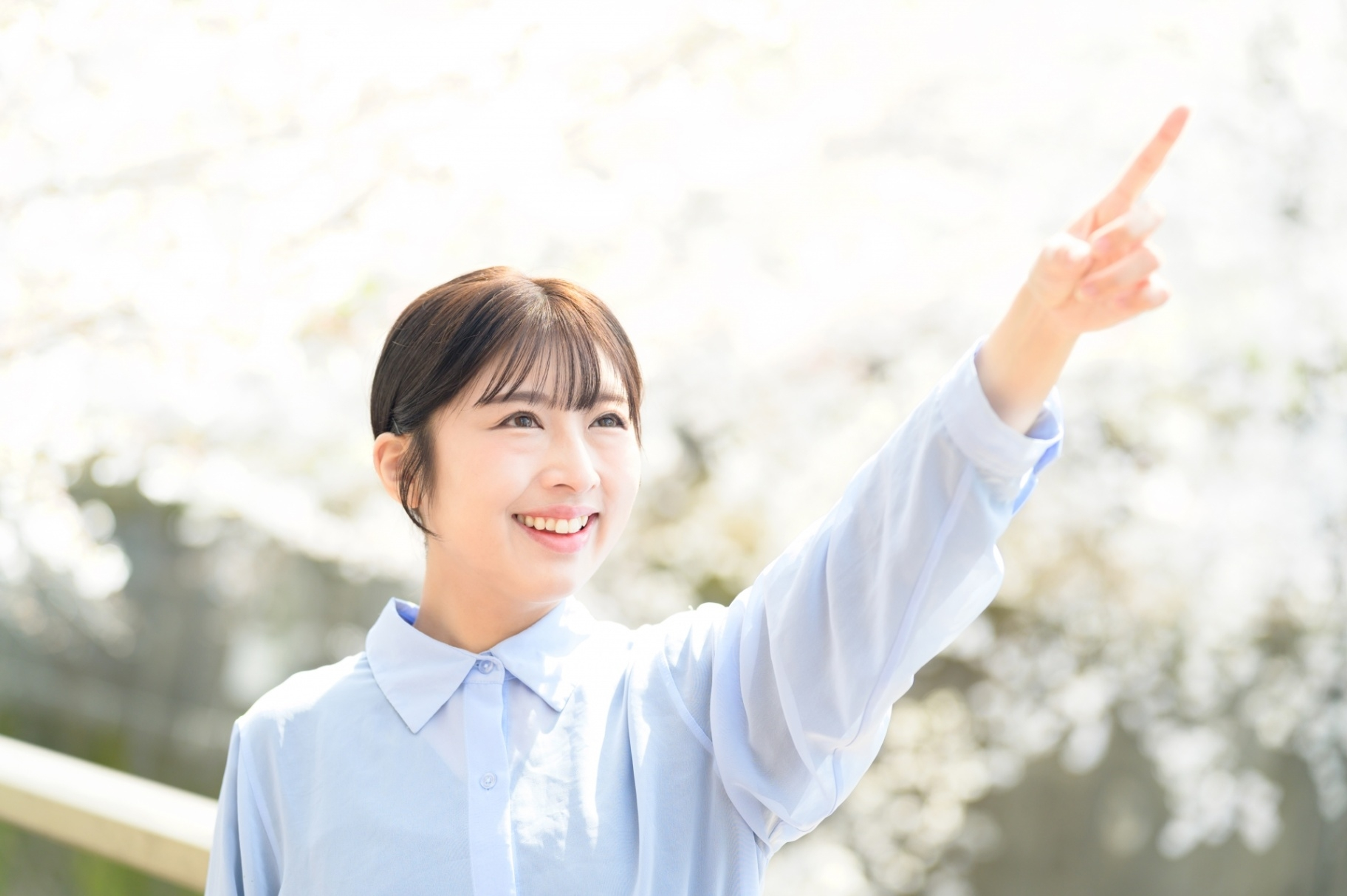 学びの特徴