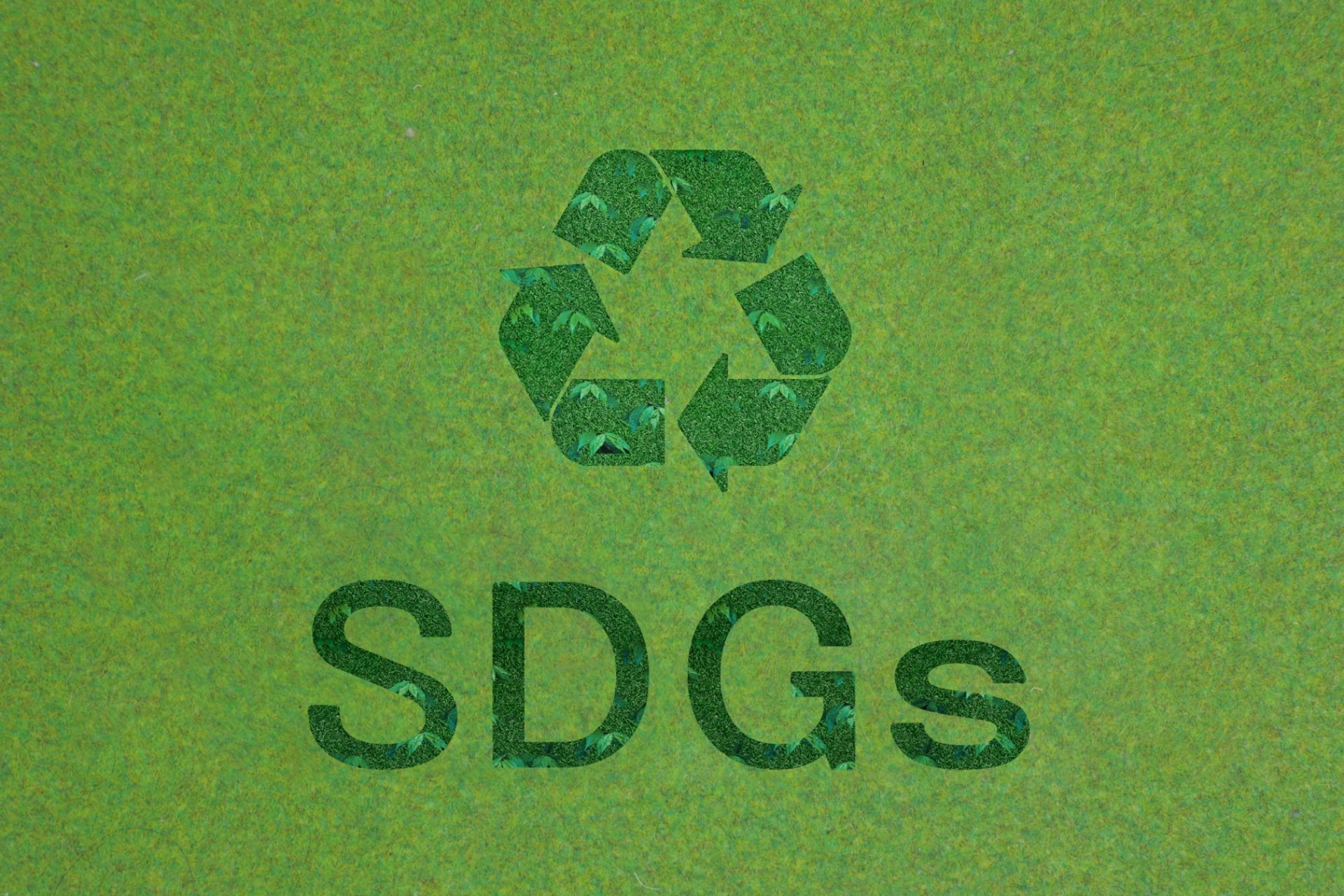 学びの特徴 学びの特徴