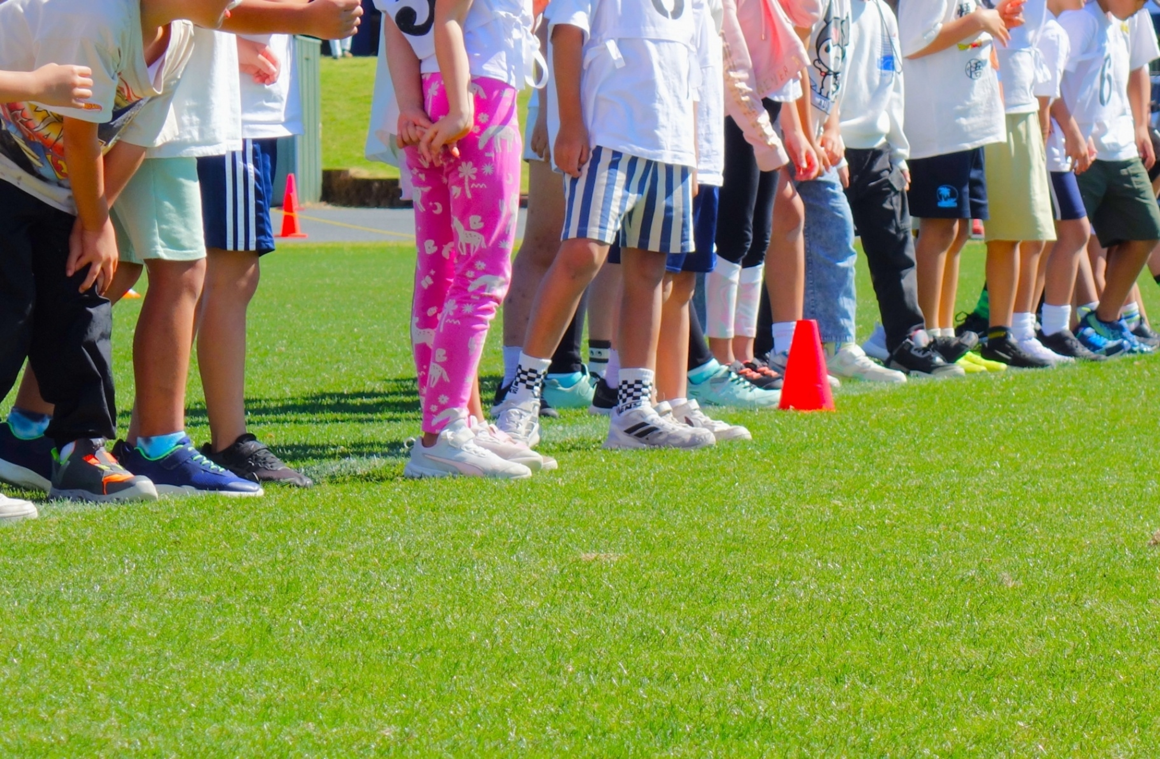 学びの特徴