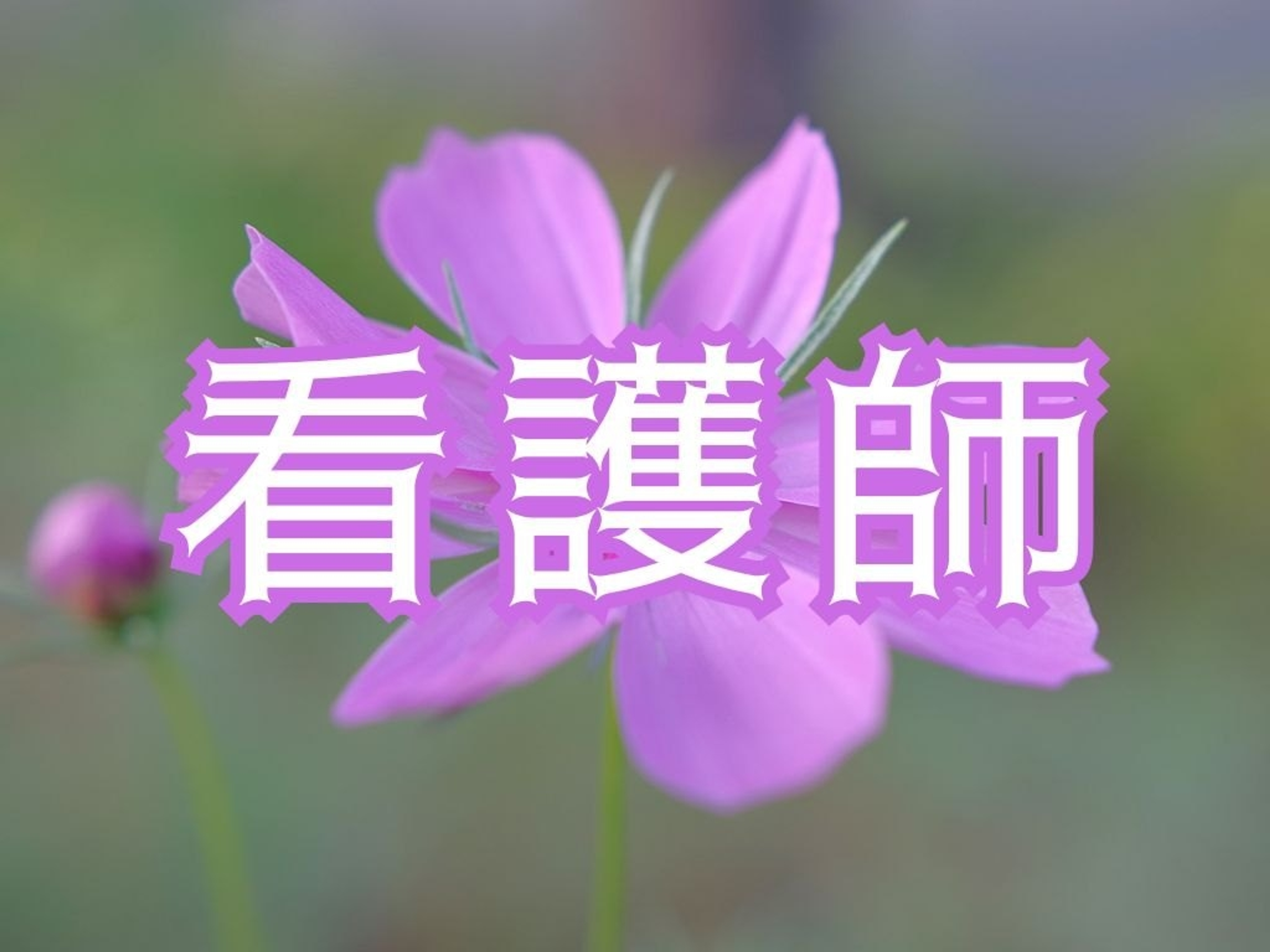 看護師・保健師・助産師の3つの国家試験受験資格が取得できる 看護師・保健師・助産師の3つの国家試験受験資格が取得できる