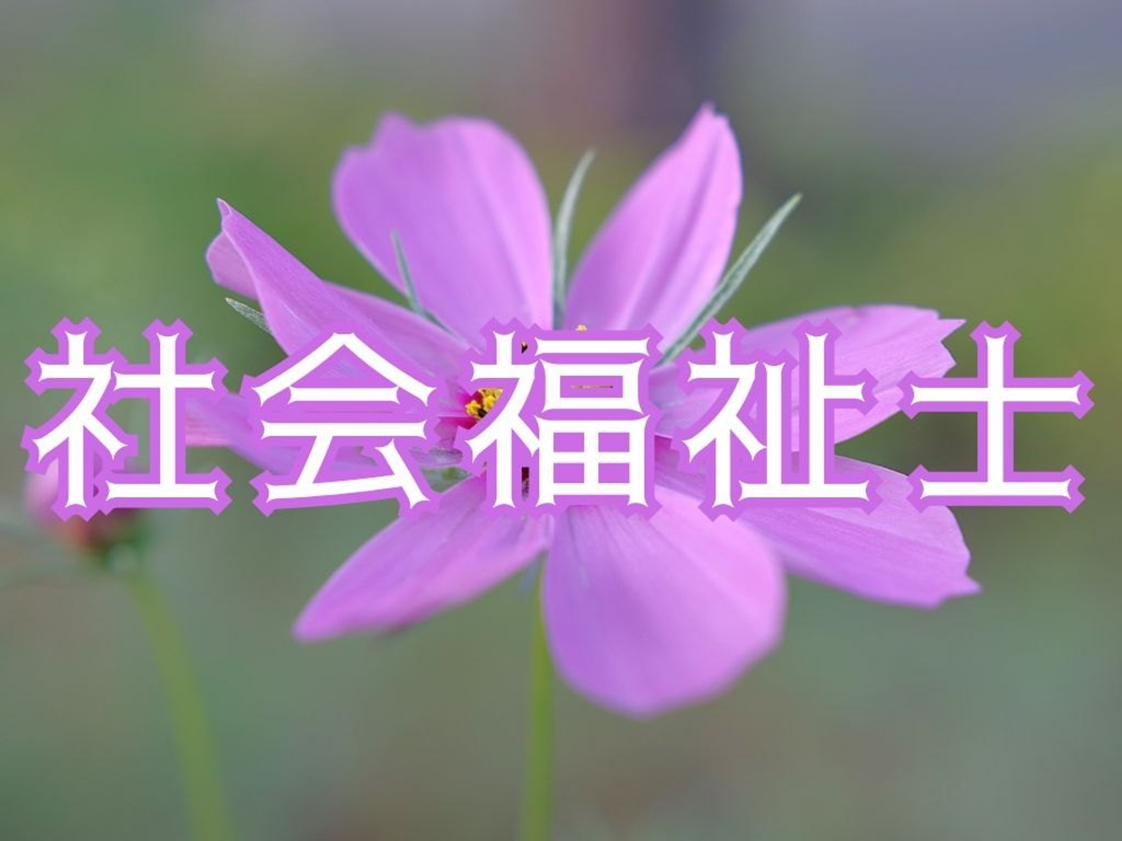 学びの特徴 学びの特徴