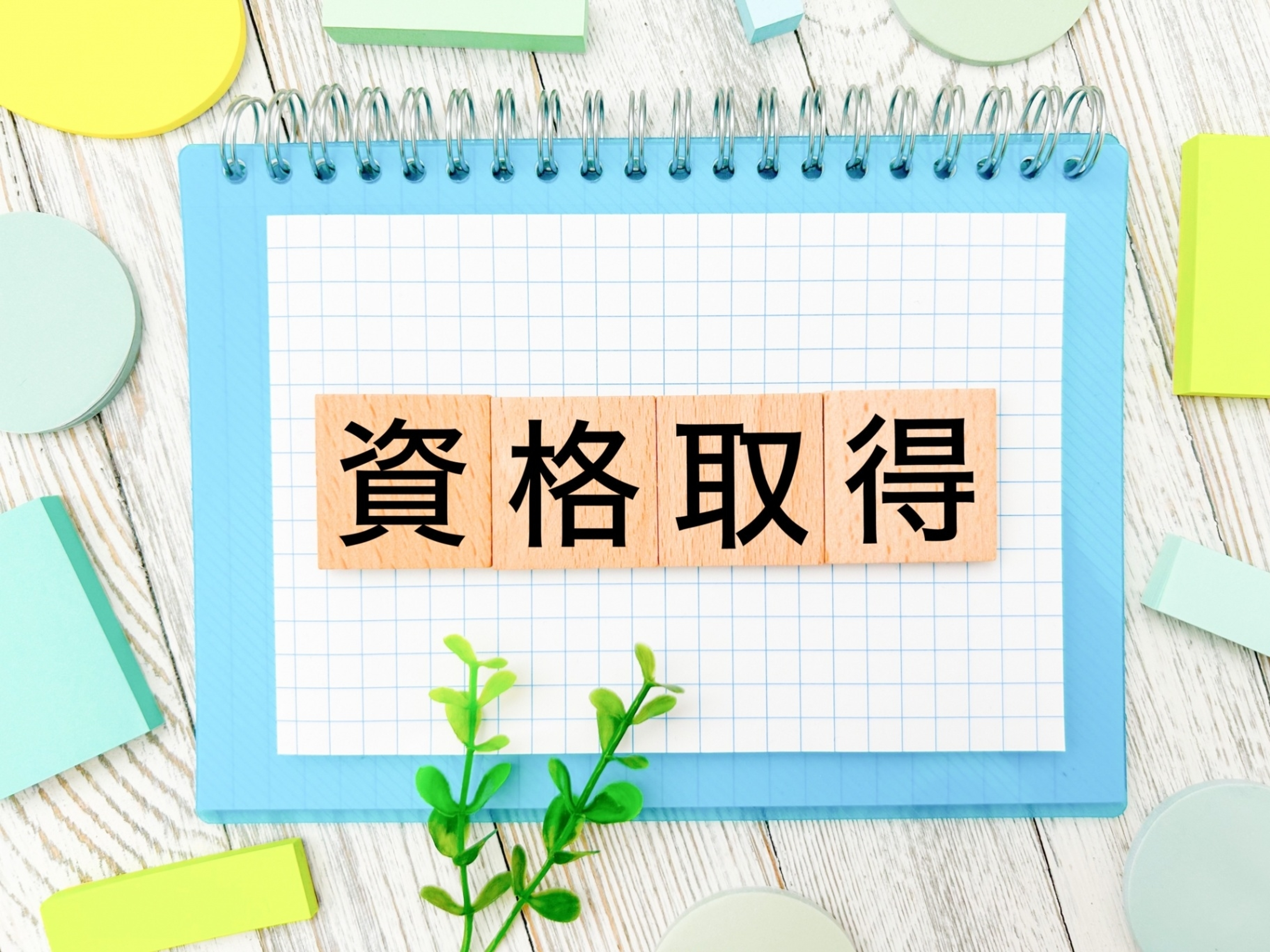 学びの特徴 学びの特徴
