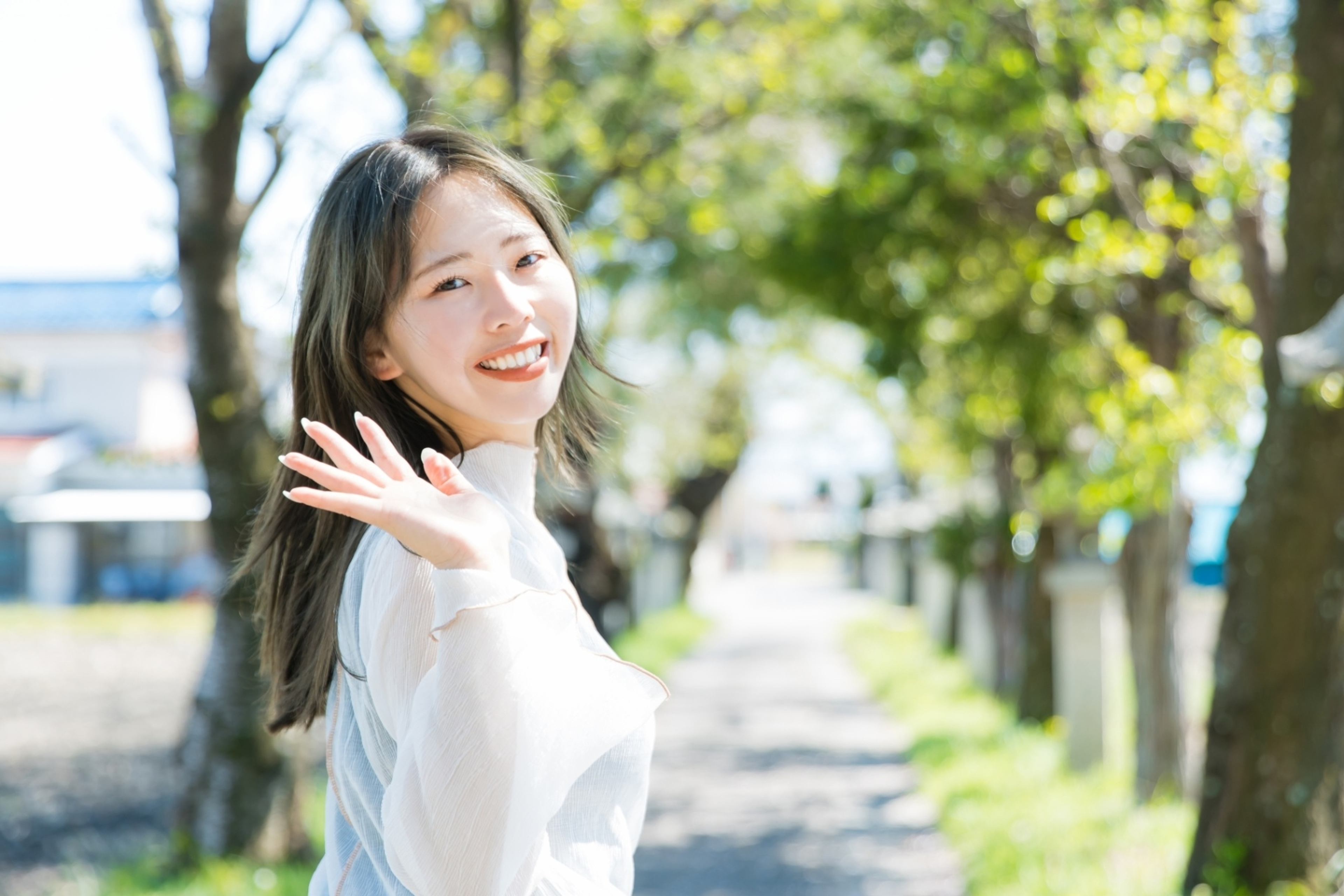 概要 概要