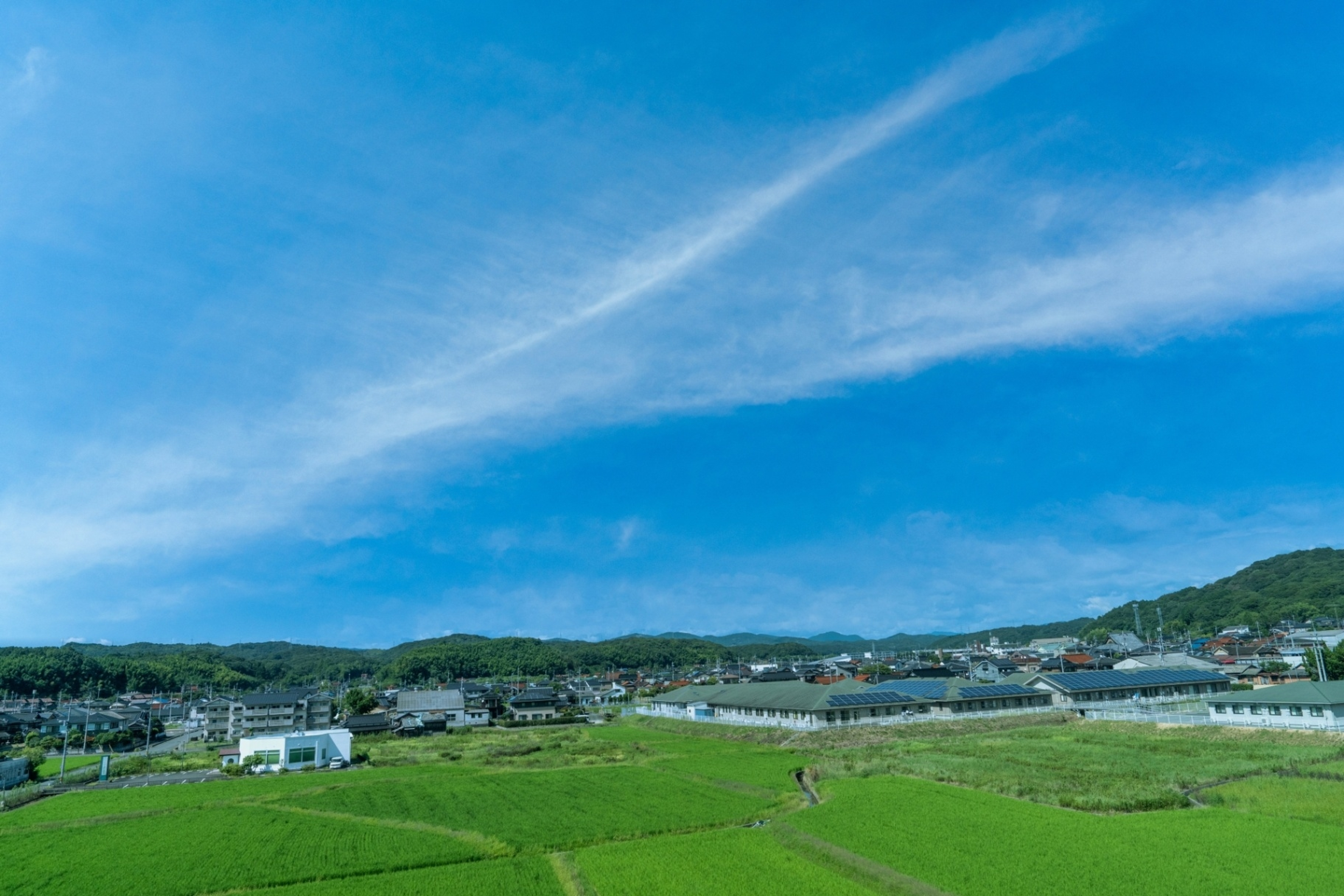 学びの特徴