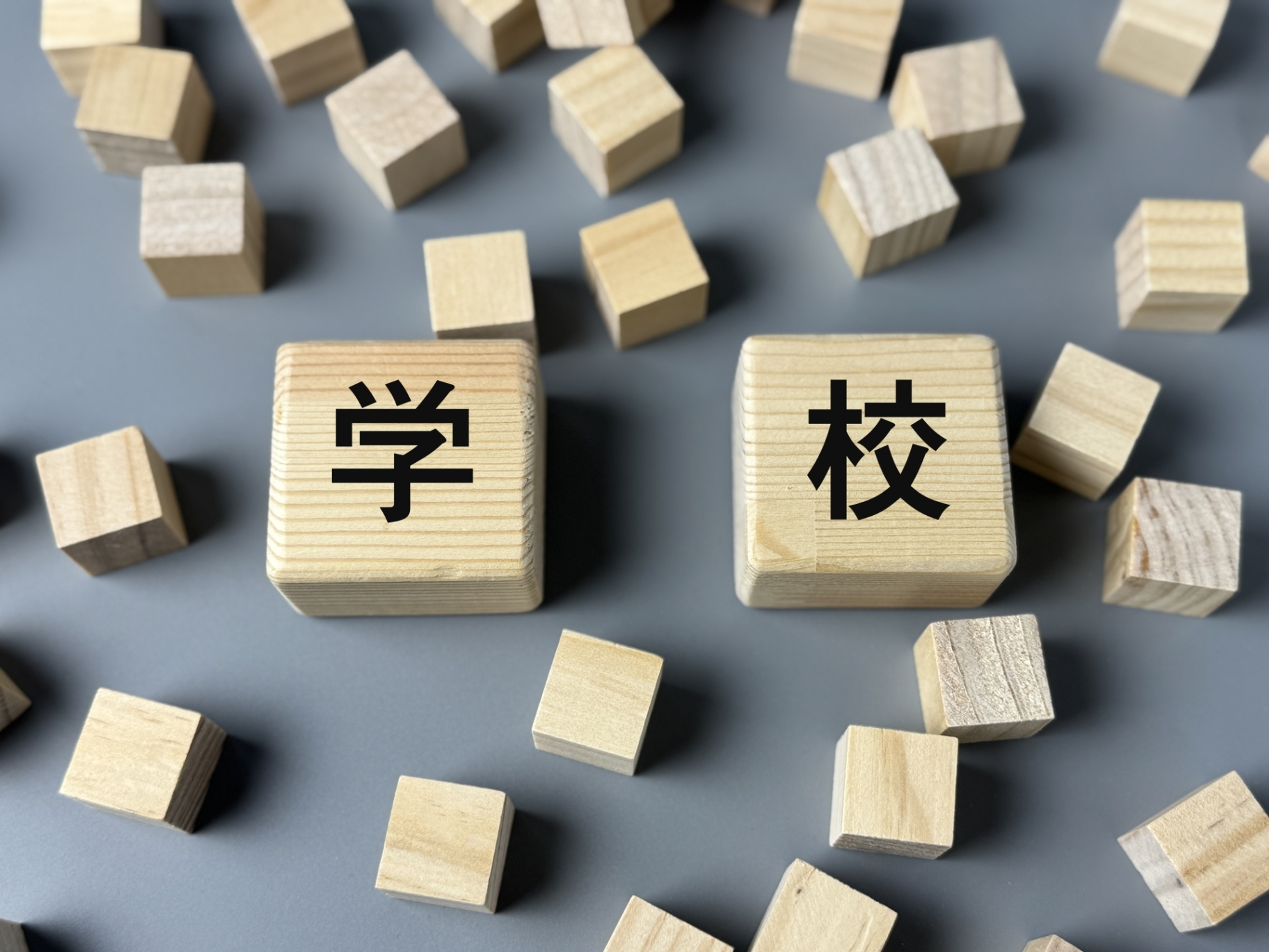 概要