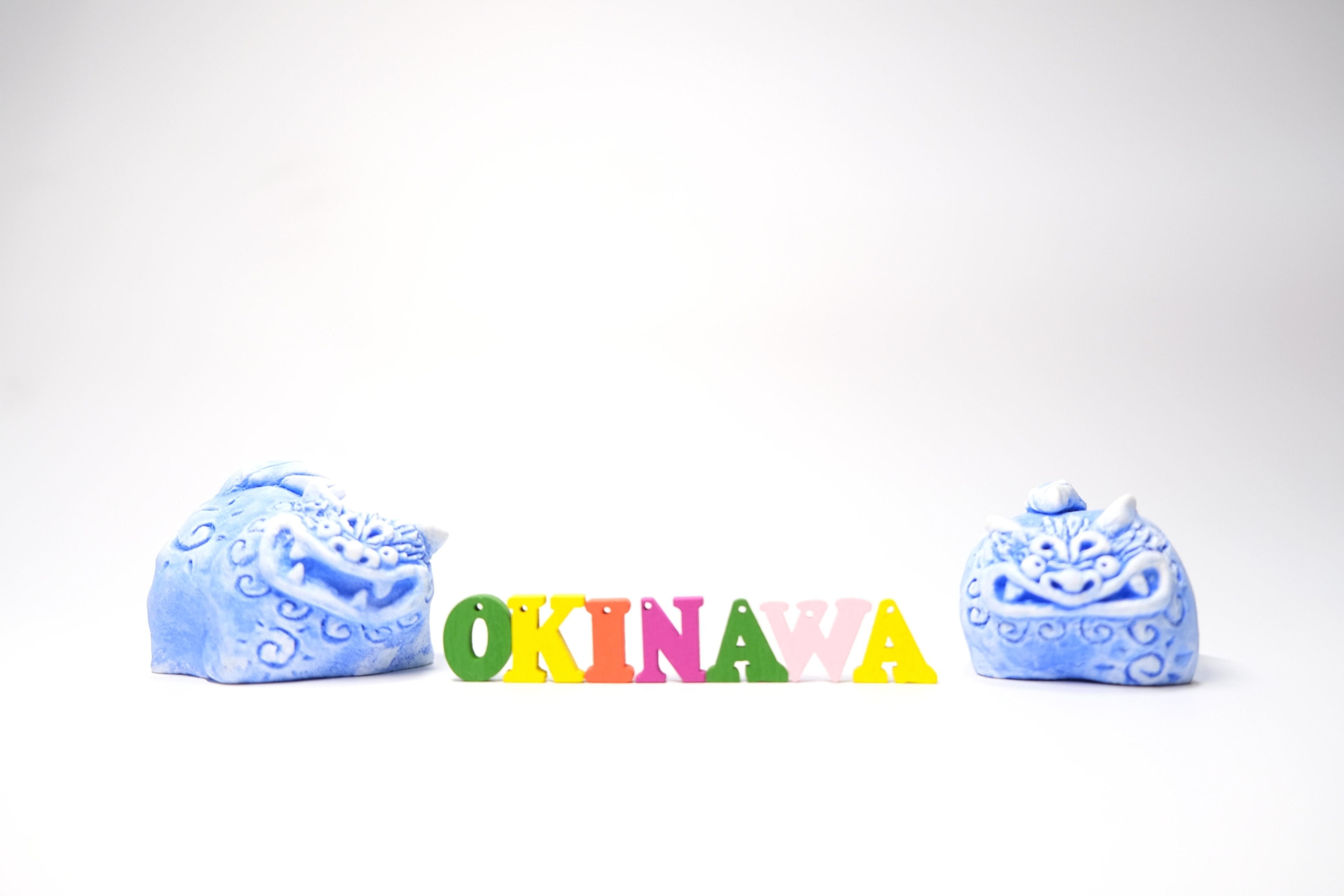 概要