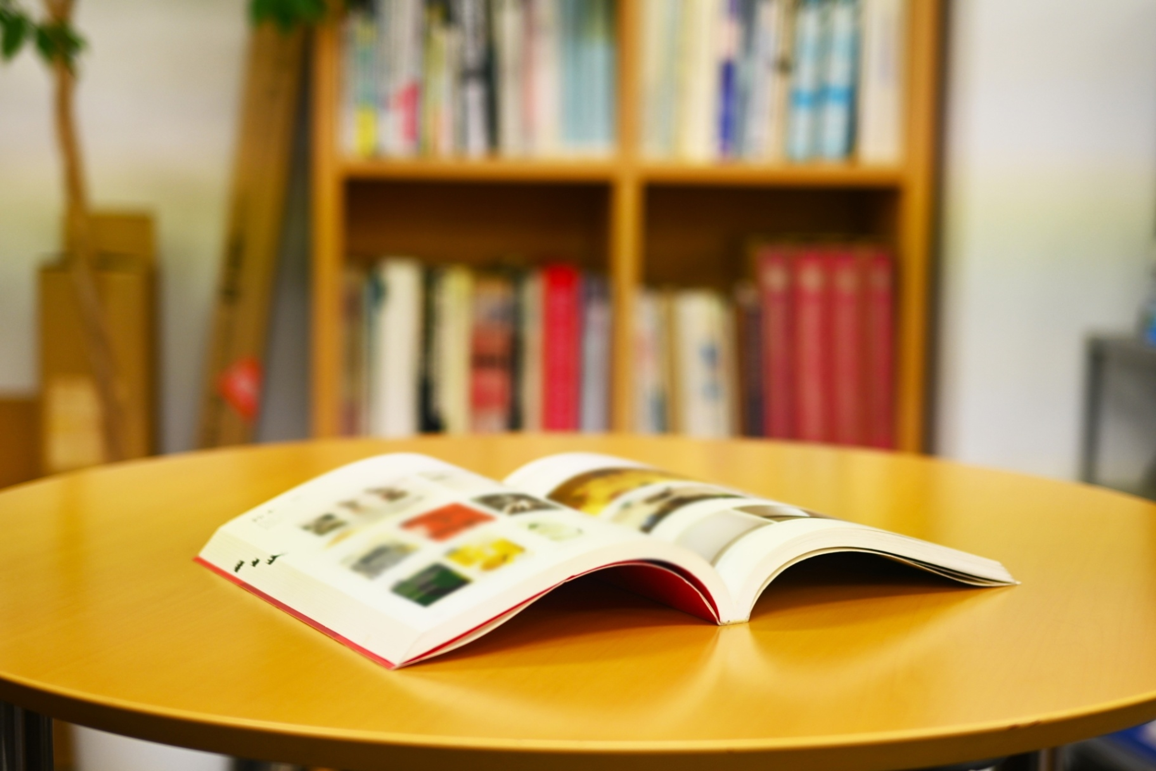 社会で生きるために必要な資質・能力を育てる 社会で生きるために必要な資質・能力を育てる