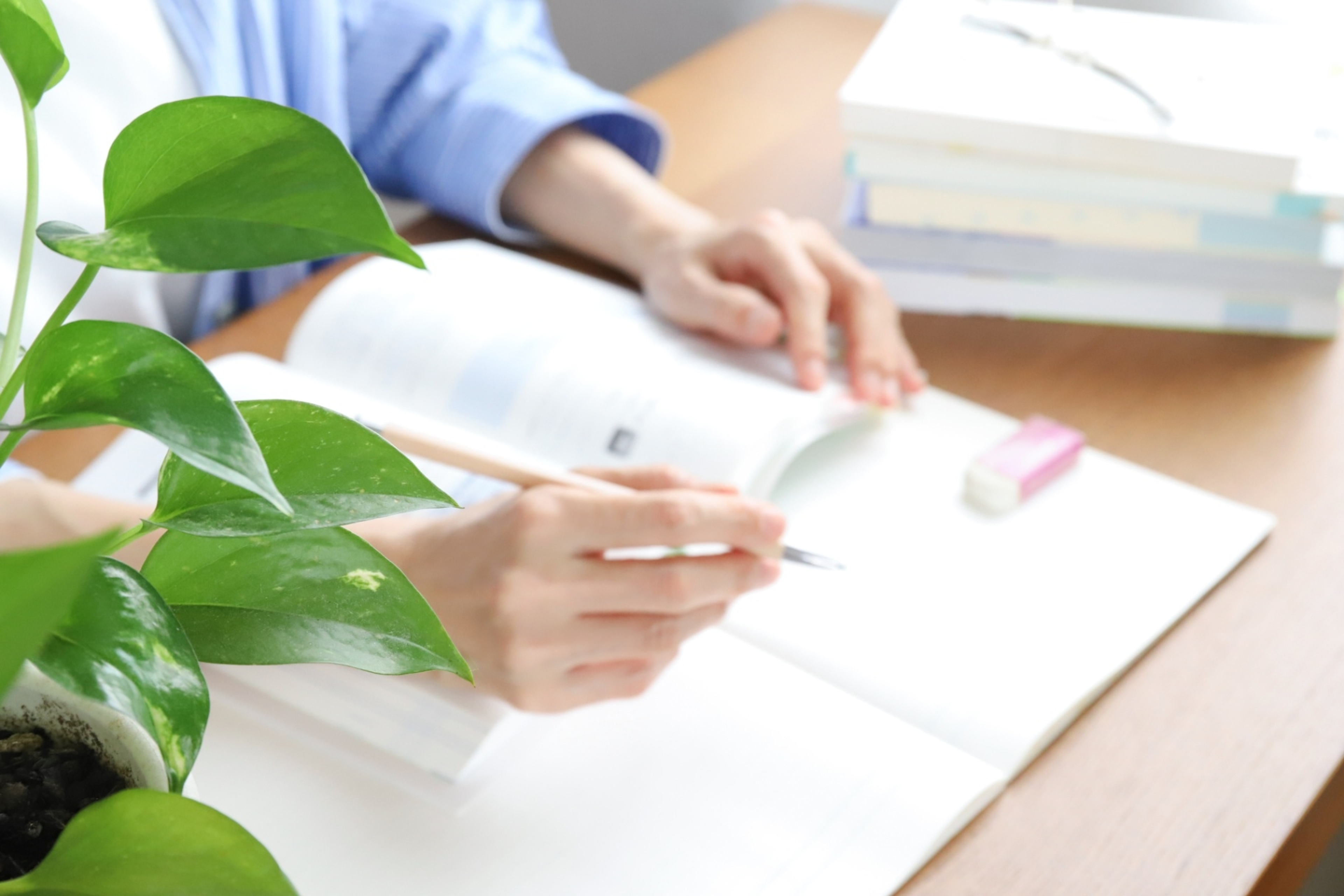 農業・森林業だけじゃない。学べることは多種多様 農業・森林業だけじゃない。学べることは多種多様