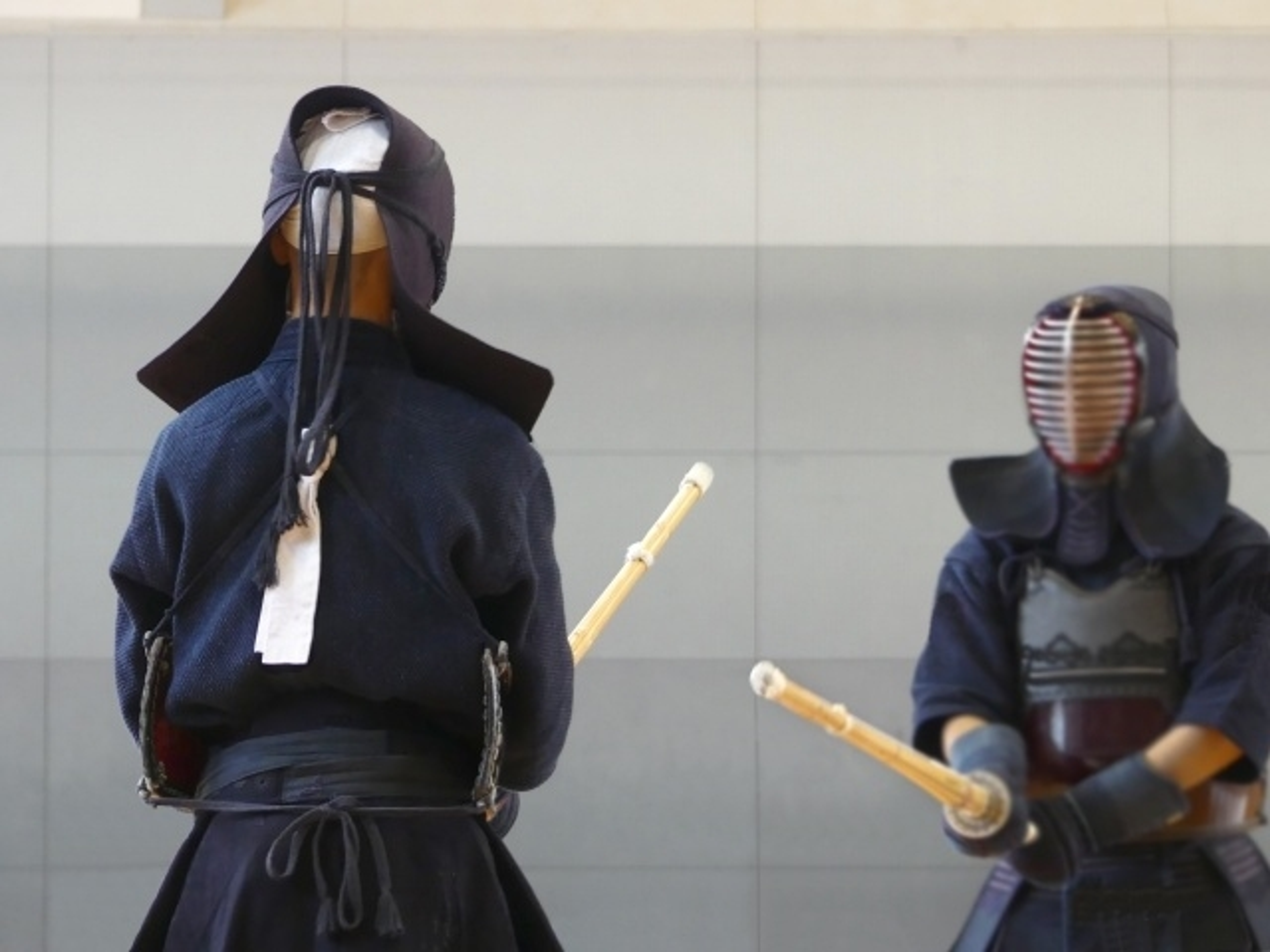 学問として武道を学べる