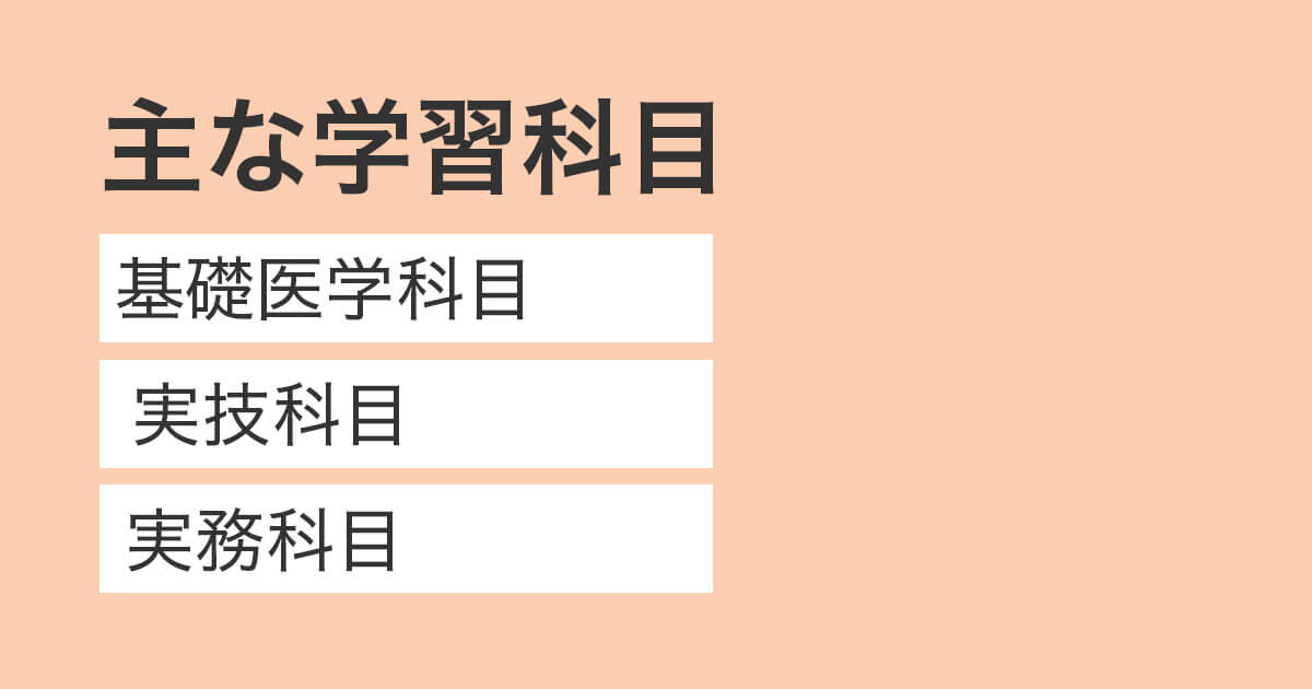 柔道整復学で専攻する事になる主な学問