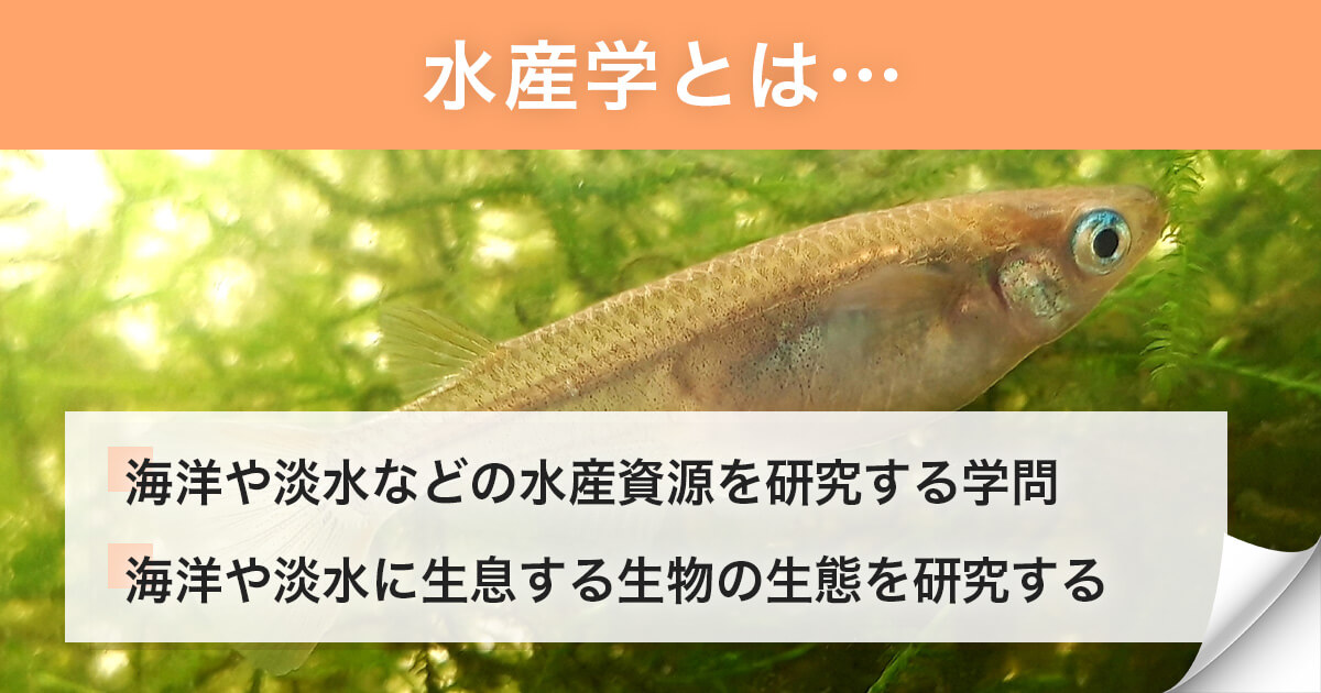 水産学とは?学問の定義
