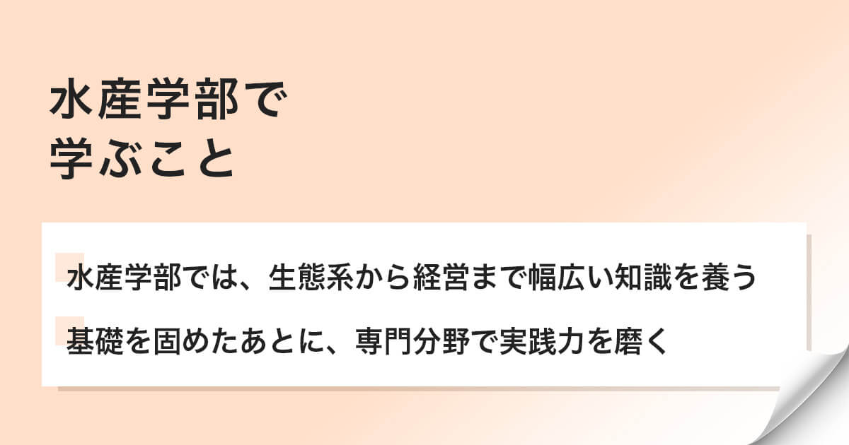 水産学部に進学すると何を学ぶのか