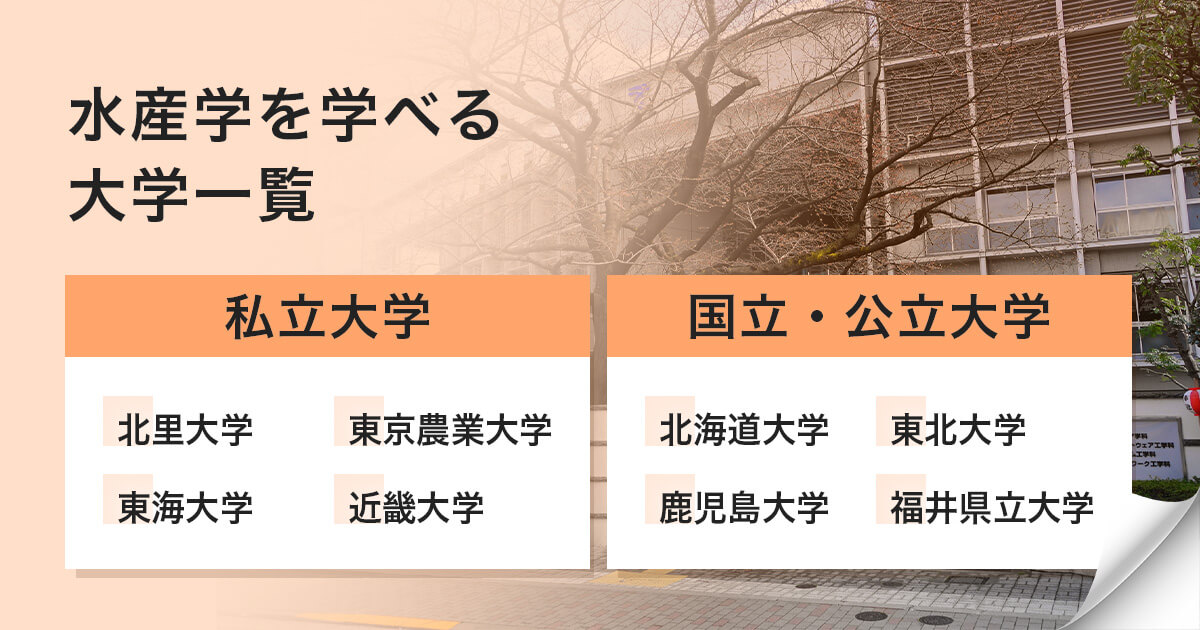 主な水産学を学べる大学