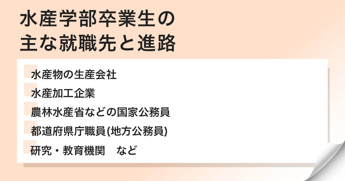 主な就職先とキャリアパス