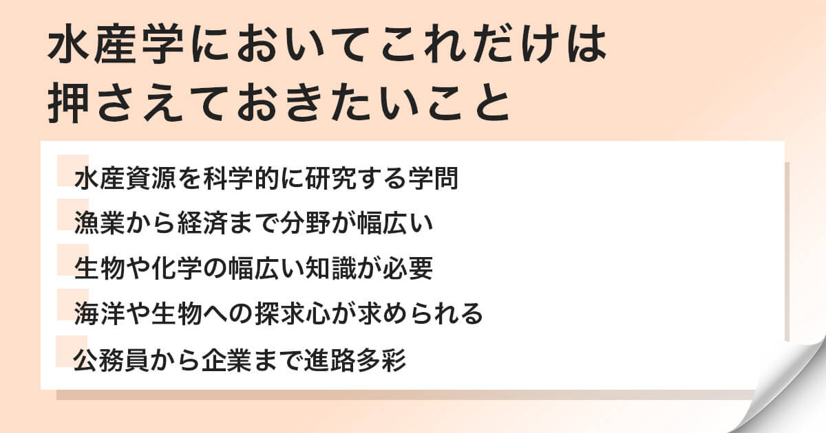まとめ:就職や学びたい内容を踏まえて進路を決めよう