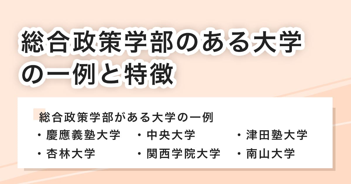 総合政策学部がある大学の一例