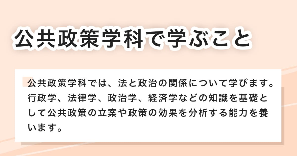 公共政策学科で学ぶこと
