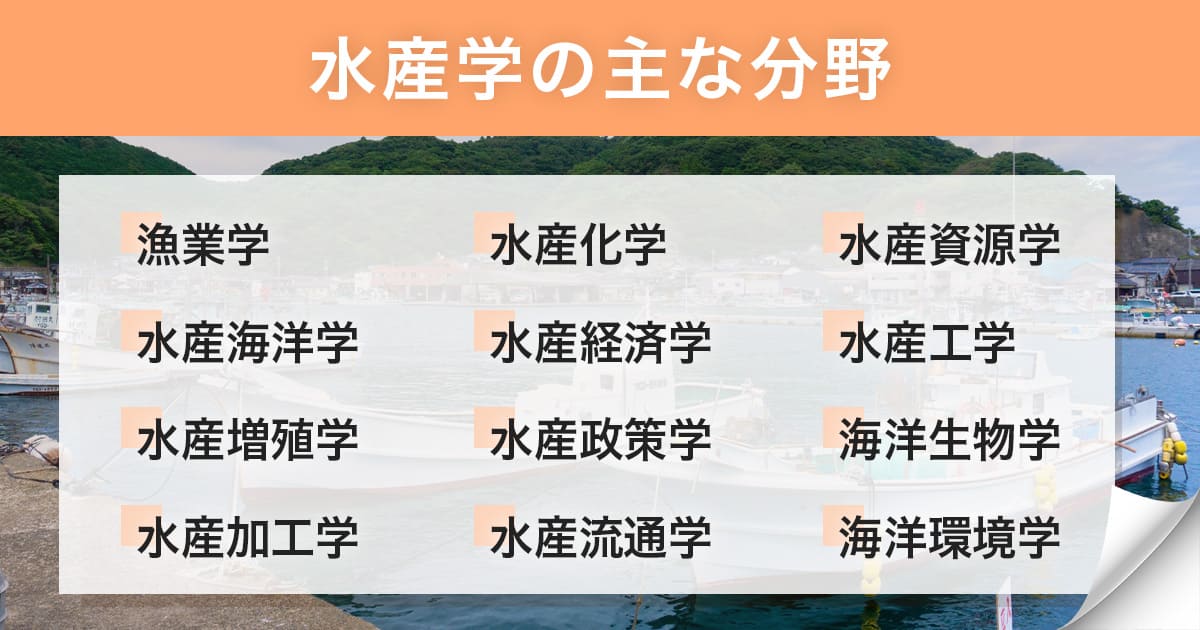 水産学の主要な学問分野を大特集