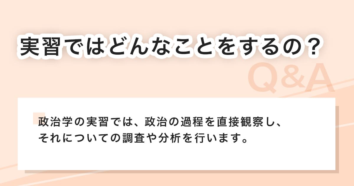 政治学の実習