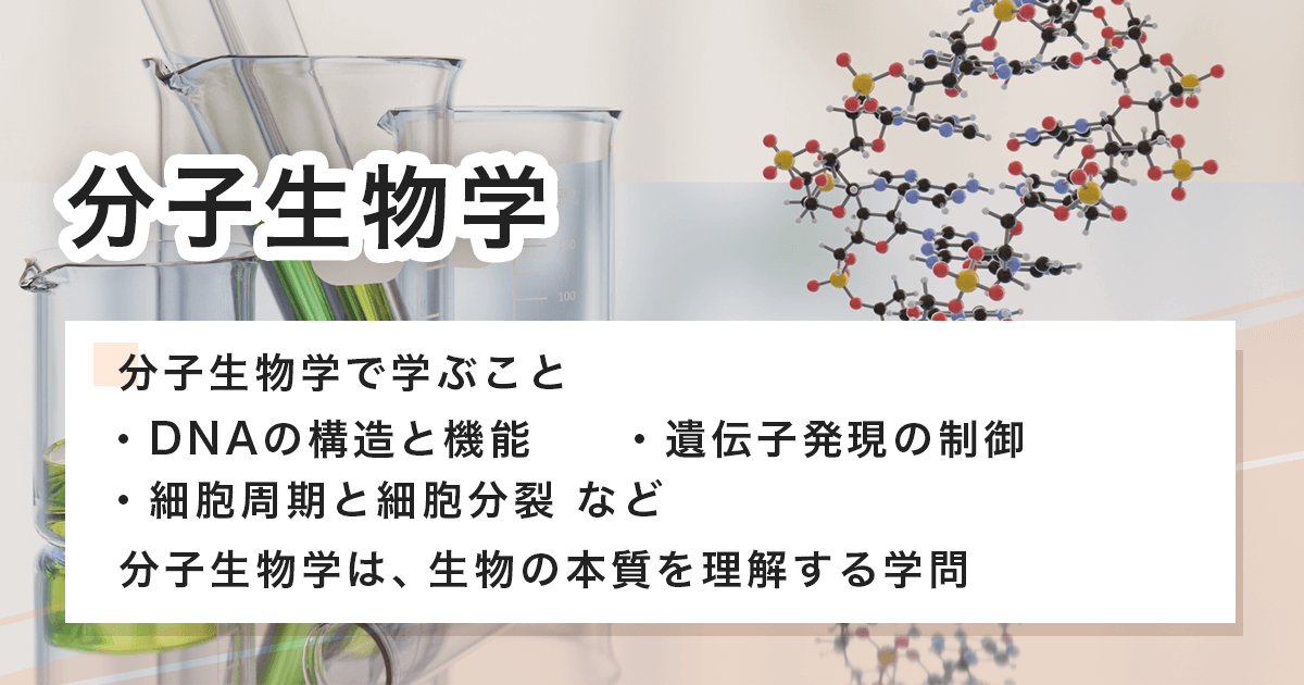 分子生物学
