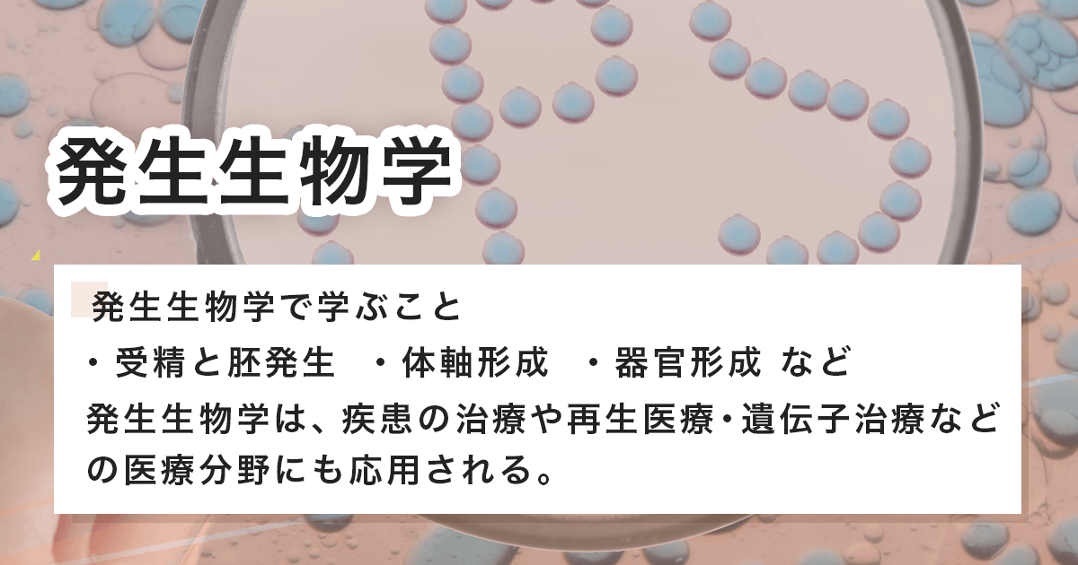 発生生物学