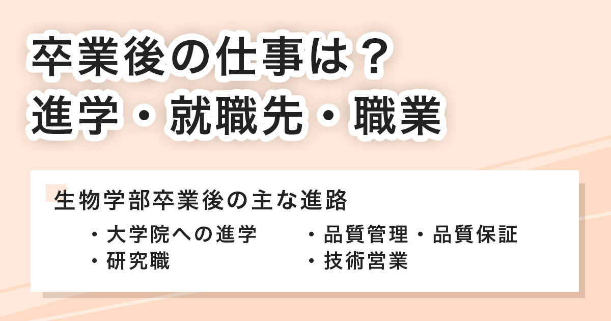 卒業後の仕事は？進学・就職先・職業