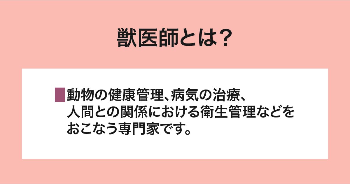 獣医師とは